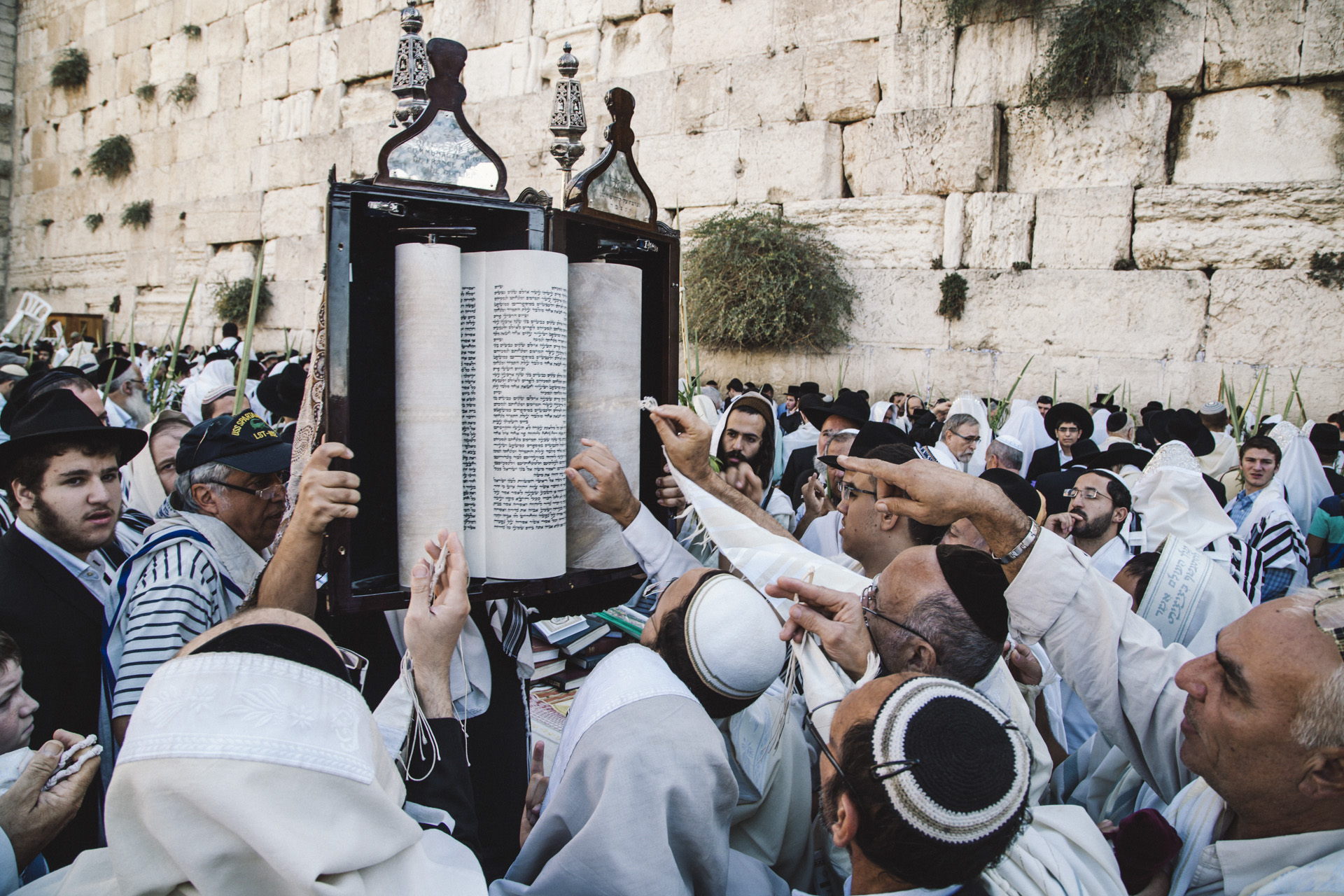 In the wailing wall people celebrates the feast of sukkot, a sacred celebration that is celebrated along 7 days.  The torah is uncover and people approach to touch the sacred book.