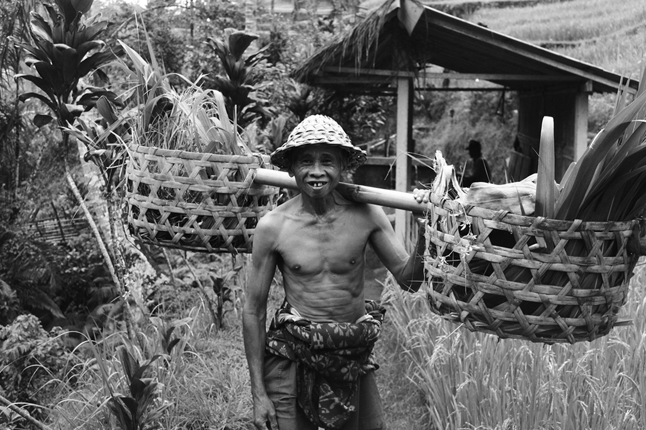'Rice does not only feed my family but allows us enjoy the beauty of life that neither come from money nor material wealth, but from a genuine connection of the soul with the sacred principles' I Kadek  Or suna, local rice grower.