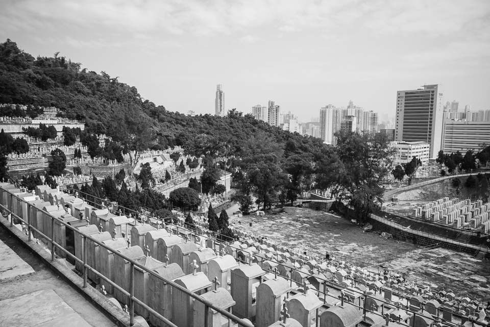 The view from about half way up the hillside showing the background of Wan Chai in contrast with nature weaving itself between the burial grounds.
