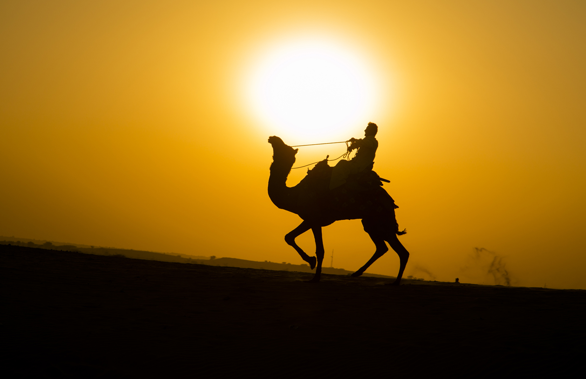 As the sun sets on the desert the fate of the camels is hanging in thin balance. Will the modernisation is rural India mean an end to the magic of the beautiful beasts - The Ship of the Dessert ?