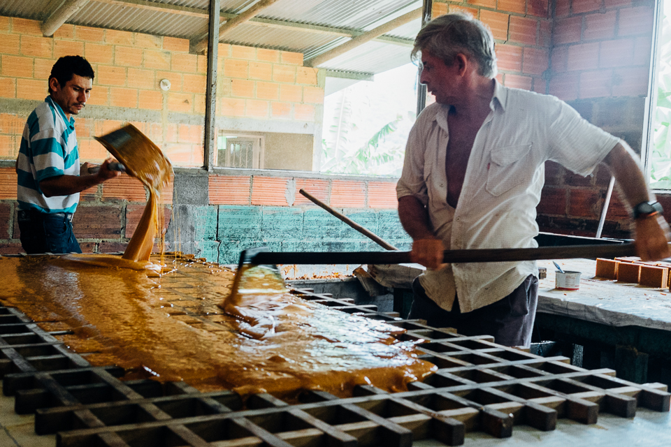 4.       When the sugar juice changes its texture, density and color it gets moved from the cooking section to the molding station. Here is where The 'Gavereros' spread the dense liquid, called 'Melaza', over rectangular molds and then put them to dry in order to get the simple brick look that Panela has.