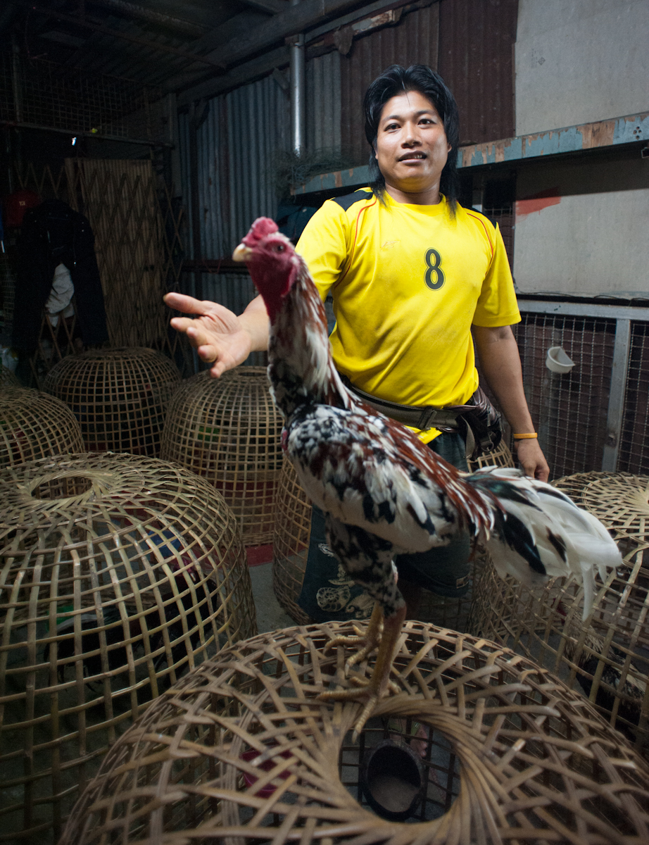 Chatuchak Weekend Market, Bangkok, Thailand 2012 A proud owner of a fighting cock shows off his champion animal before the start of a fight