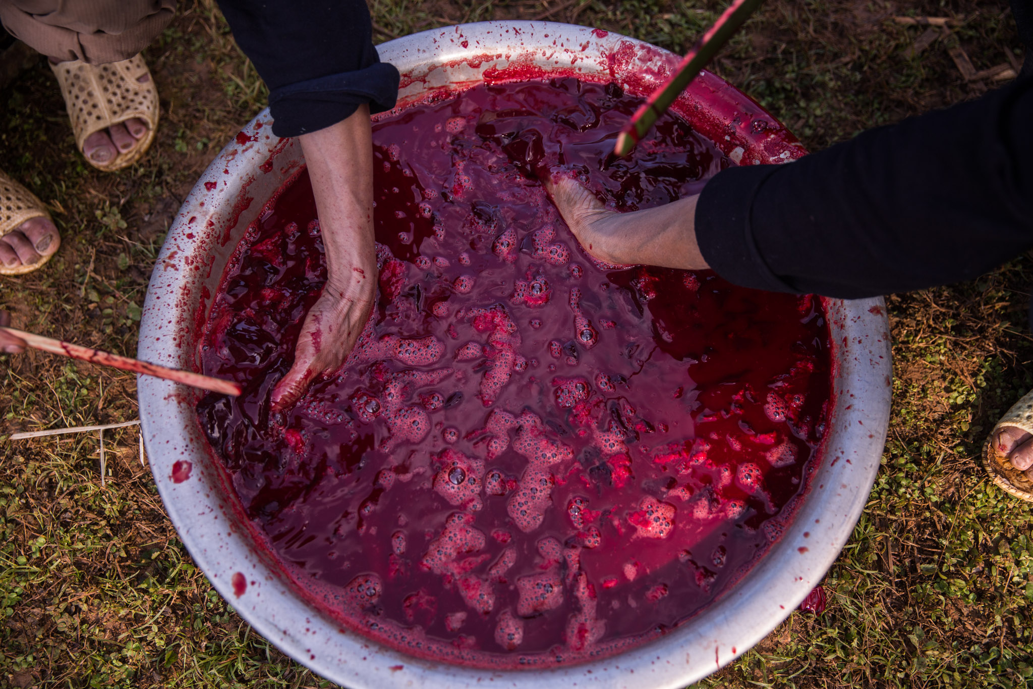 The blood is separated from the body of the animal and poured into different containers as an offering to the soul of the dead.