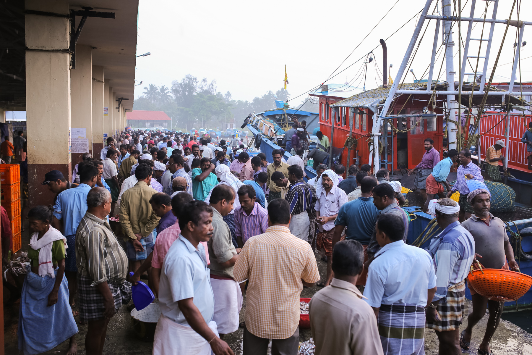 The Usual Busy-Ness - Every single day at Neendakara Harbour is filled with these crowd, bidding the price, loading the fishes and getting back home, with the desire to do a better tomorrow.