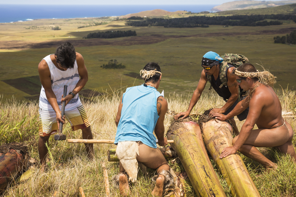 At the summit of Maunga Pu'i, competitors of the haka pei help each other to construct their banana trunk sleds.  They pin two banana trunks with wood stakes then shave the roots from the trunk bases to reduce friction and increase sledding speed.