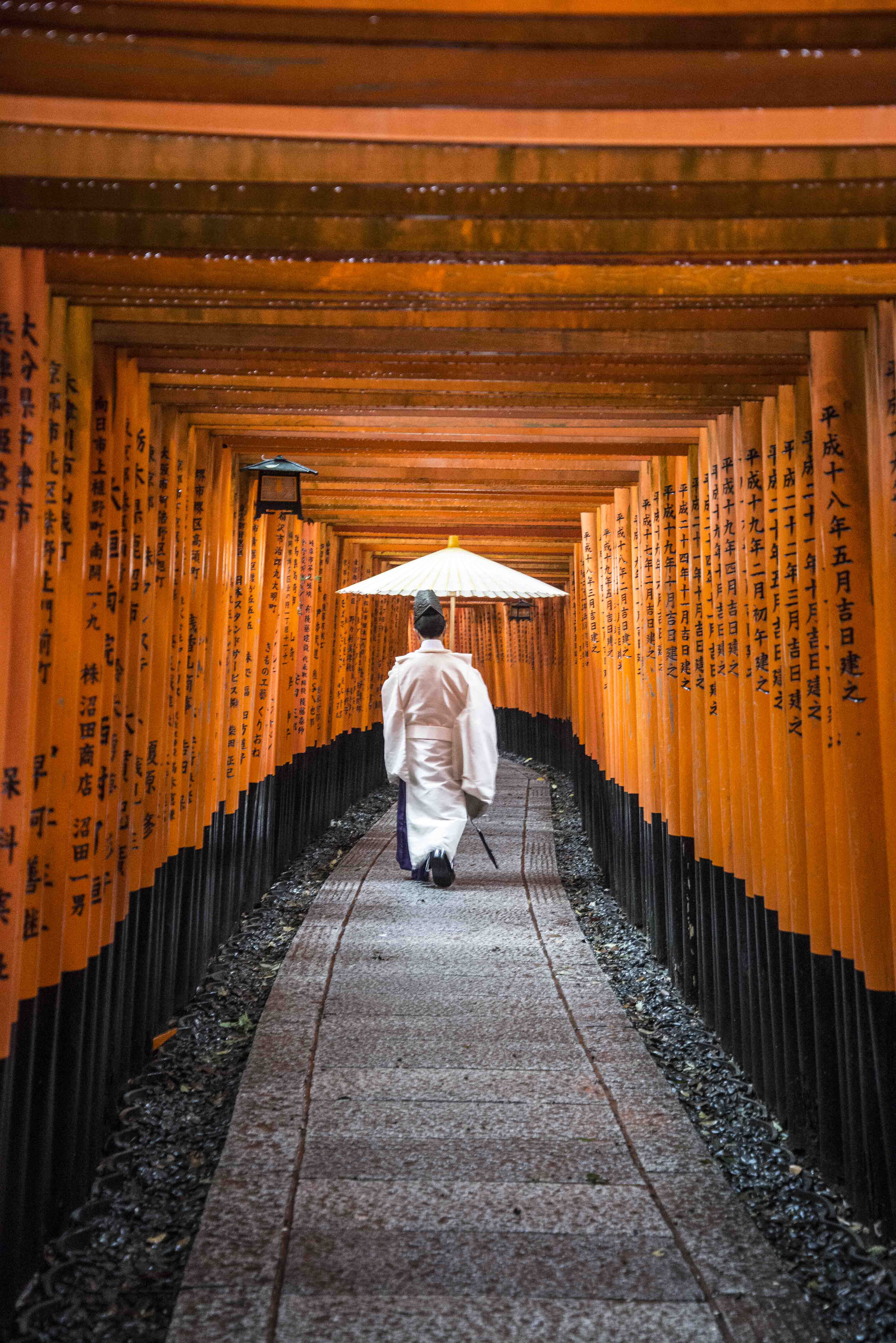 A Shinto priest walks through Fushimi Inari-taisha, home to several thousand vermillion tori attracting thousands of pilgrims each day.