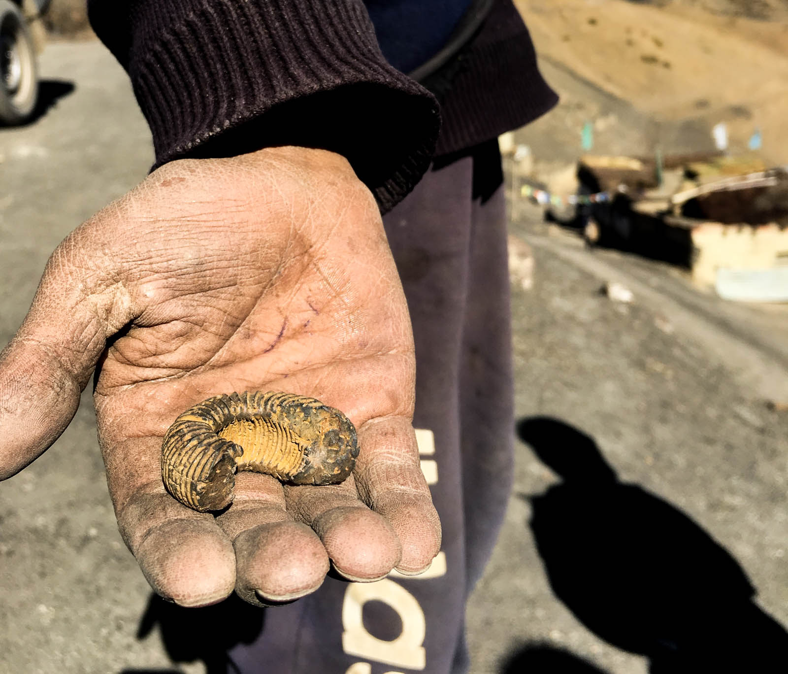 Although illegal, these fossils, that are millions of years old, are sold as souvenirs to tourists in local shops and by children for as little as Rs 10. Here, a boy of 12-13 years of age tries to sell me one. Upon my refusal, he comes up with another deal: barter my hand sanitizer for his fossil.
