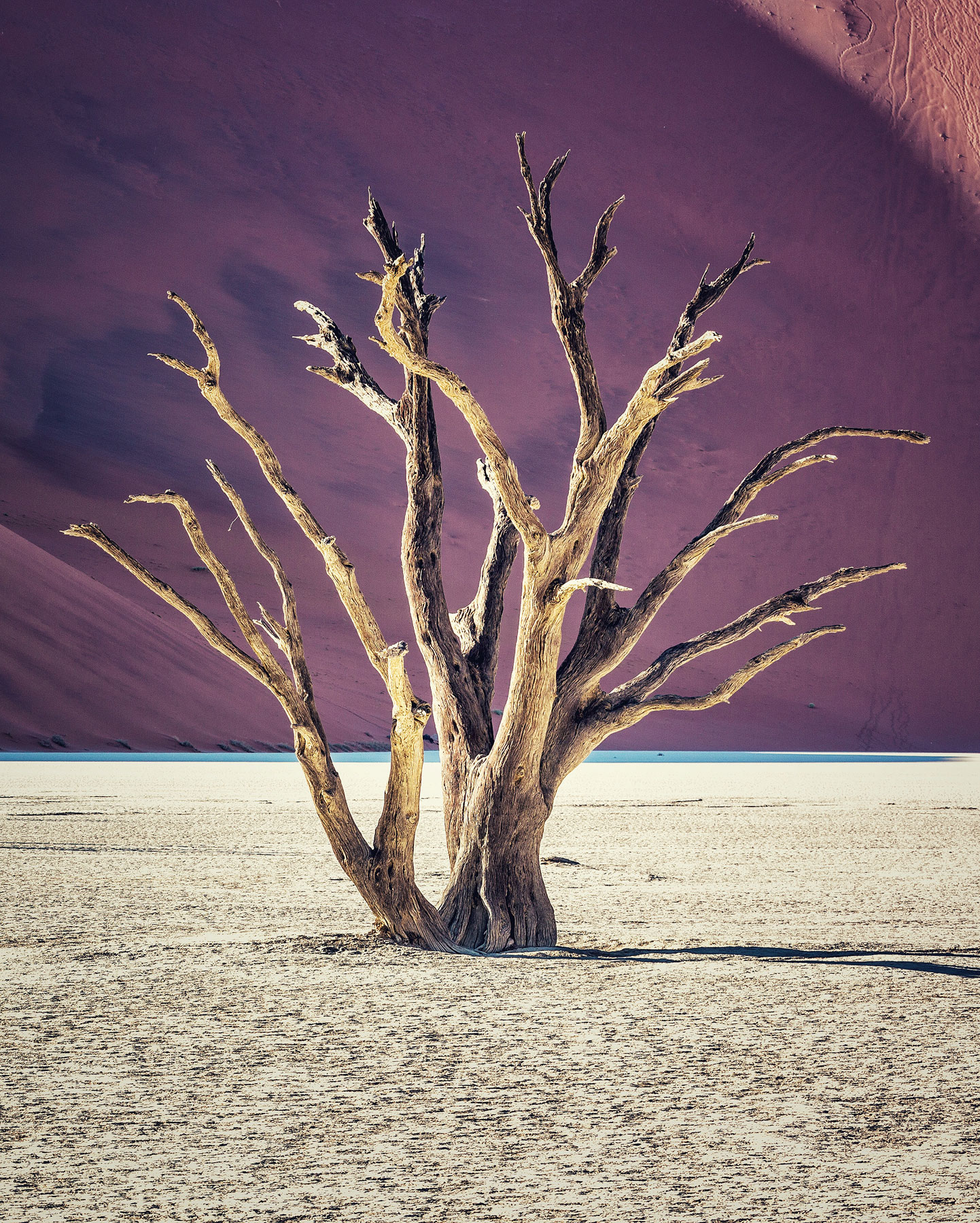 Deadvlei at sunrise is probably more impressive than photos can really show. As the sun rises above the surrounding walls of sand, these dead Camel Thorn Trees in the clay pan seem to glow against shadowed dunes.