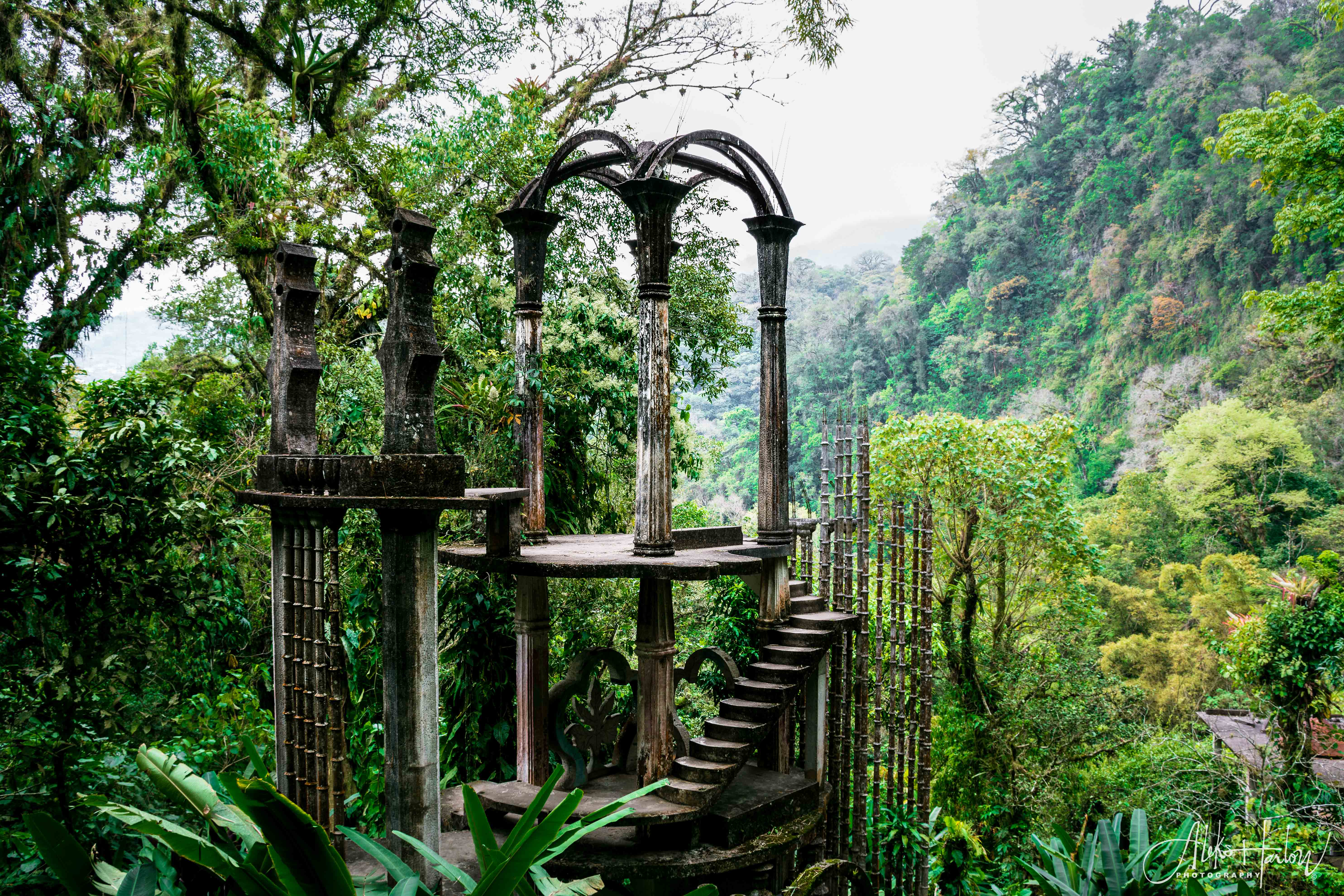 The second day we entered to the jungle, to find a magical place that has been used for some films, since it seems to be a place of interest for its architecture, sculpture and all the surrounding nature. The place is called Surrealist Garden by Edward James.