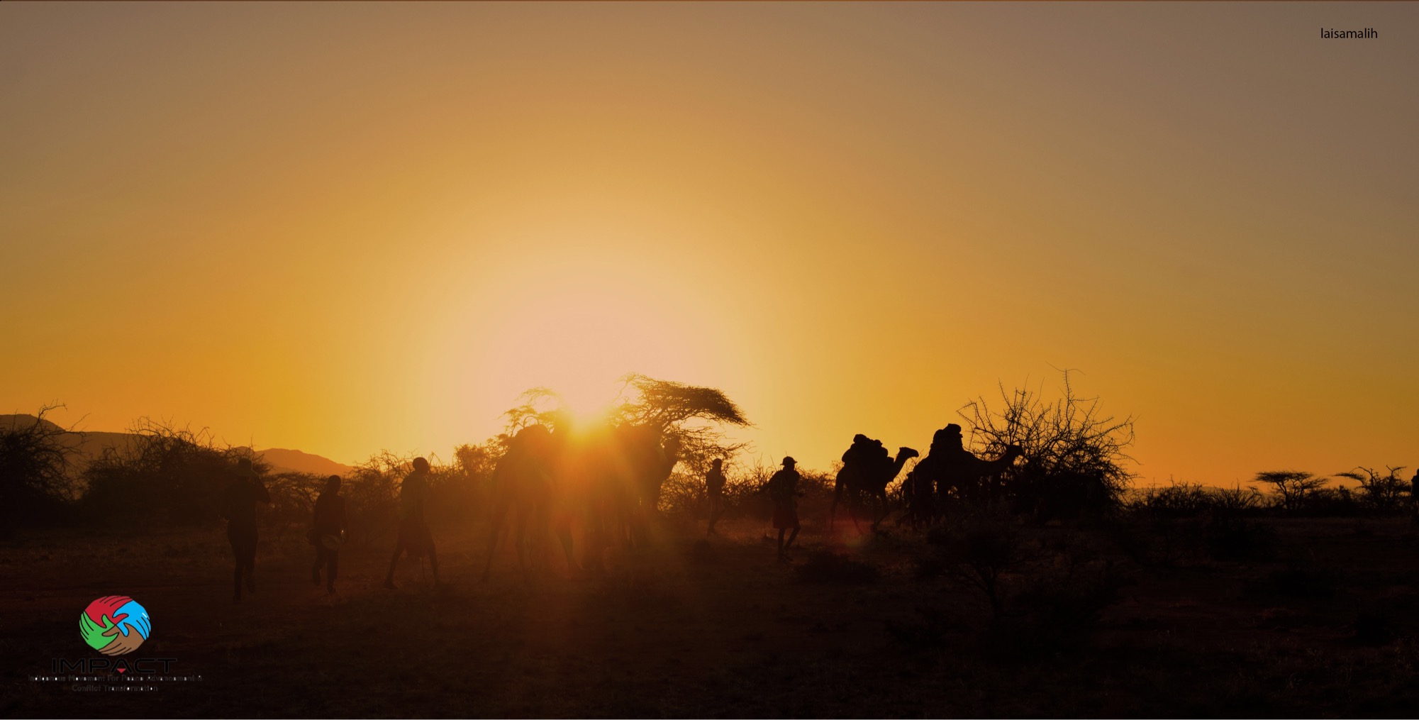Camel caravan trek in Kiltamany,Kenya