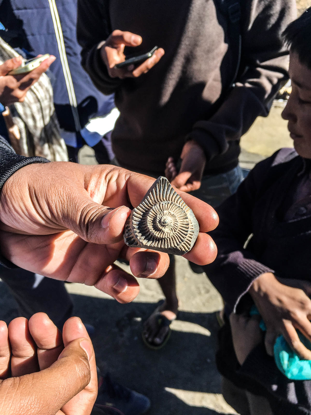 Curious tourists gather around the fossil selling boys to get a glimpse of the ancient treasures of Langza. The locals are unaware of the value of the fossils. They say the fossils are in abundance, and it won't hurt to sell a few. 