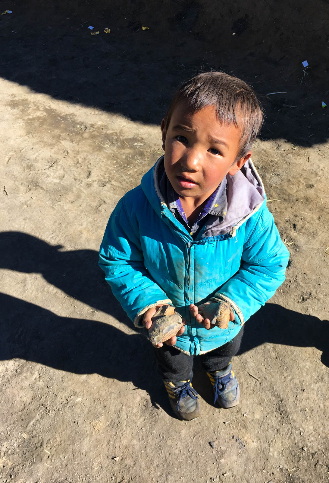 Children as young as three, who come from poor families, have taken to selling fossils to tourists. This little boy offered to sell me one for a meagre Rs 10. The future of the fossils is uncertain, unless the government of Himachal Pradesh puts stricter laws in place. 