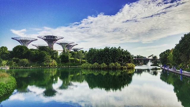 Gardens by the Bay in Singapore