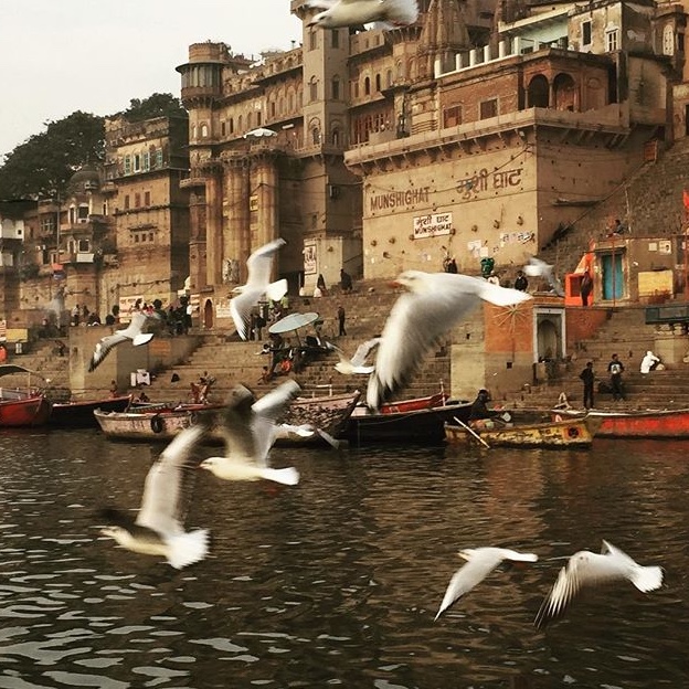 Seaguls down the Ganges. At the back, stairs and buildings of Varanasi, India. 