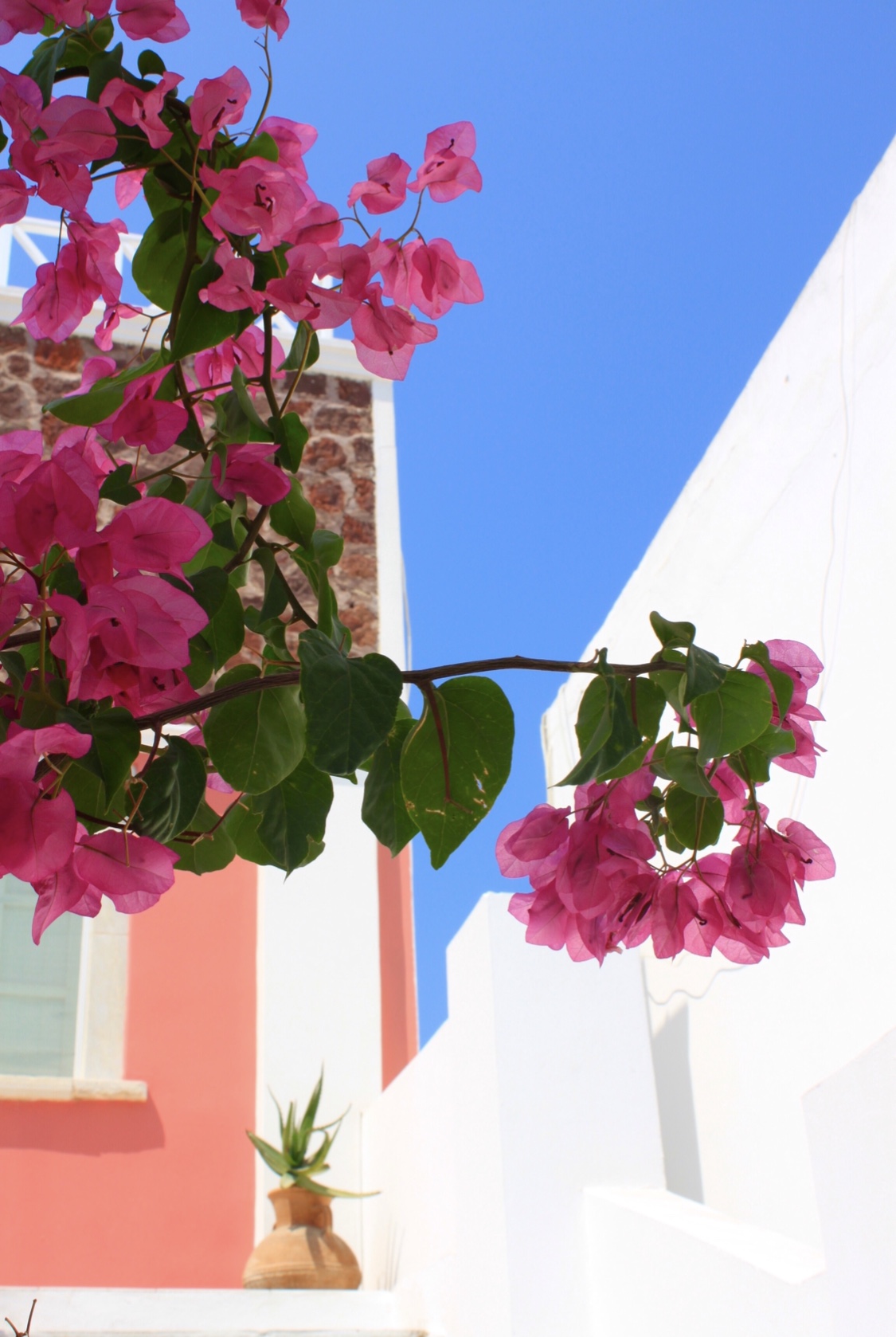 The vibrant colours of the island shout at me from all directions, beckoning me to walk down little alleyways and pulling me away from the crowd. I don’t know where I am but I keep moving forward. I look up and see the pink flowers of a tree against a bold blue and white background. I take a photo. 