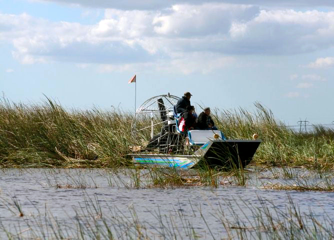 Everglades: The River of Grass and an Ecosystem in Distress