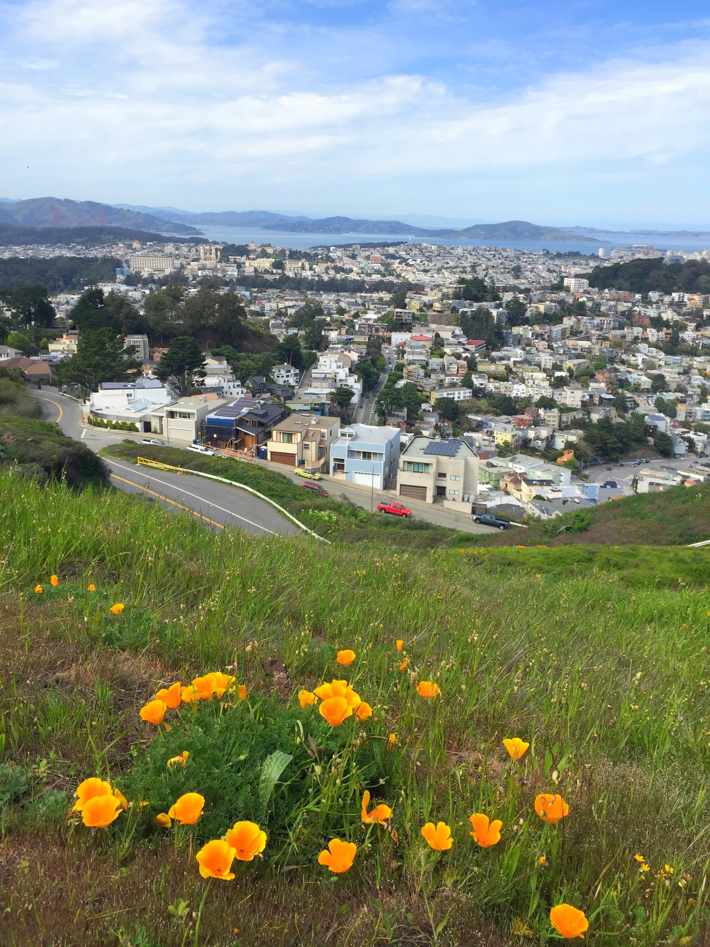 A View from Up Above:  Twin Peaks.  I put One of those Flowers in my Hair. 