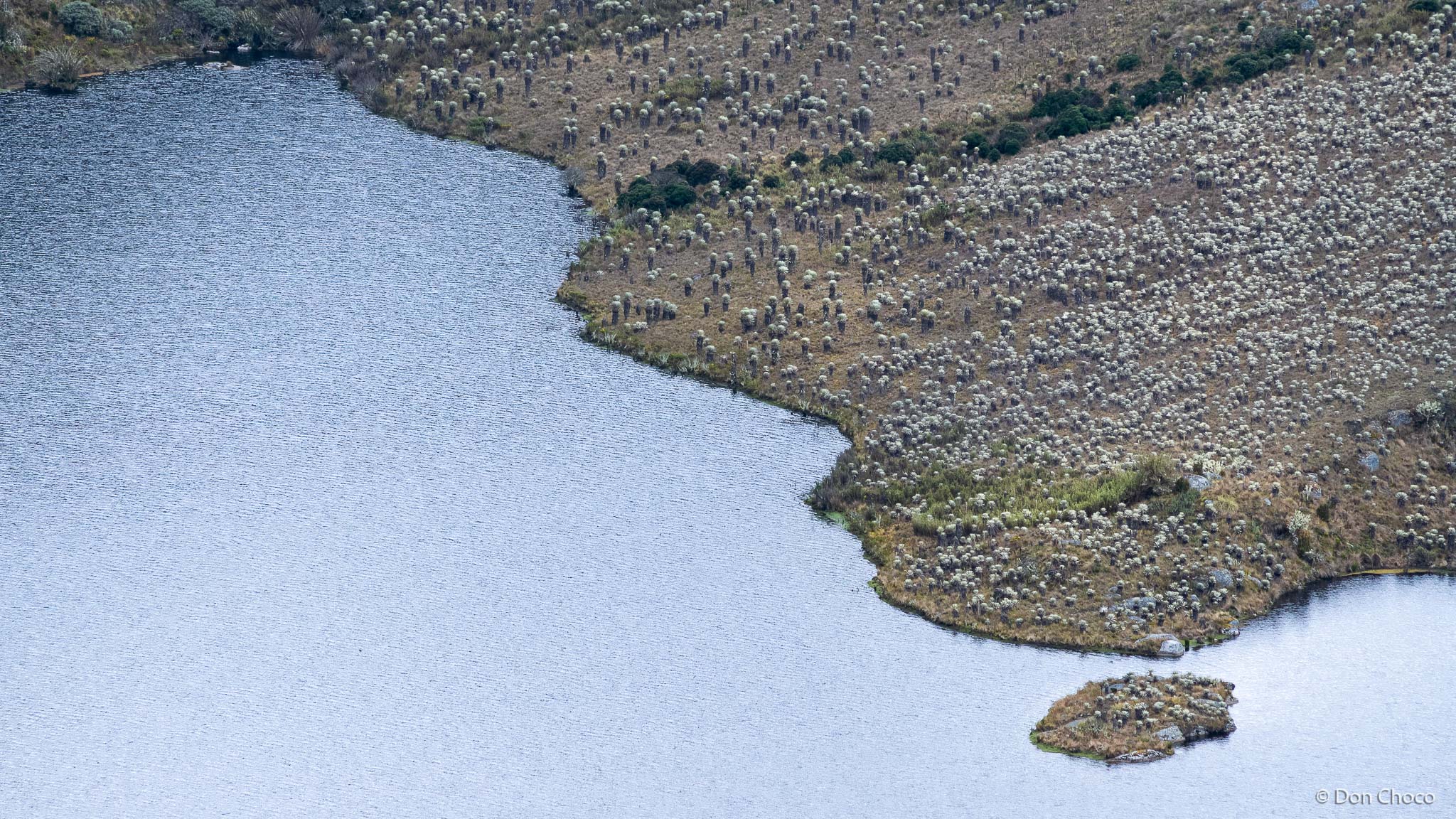 Fragmento de la Laguna Los Tunjos ubicada en el Páramo de Sumapaz a una altura de 3.780 msnm con una superficie de 0.75 km2