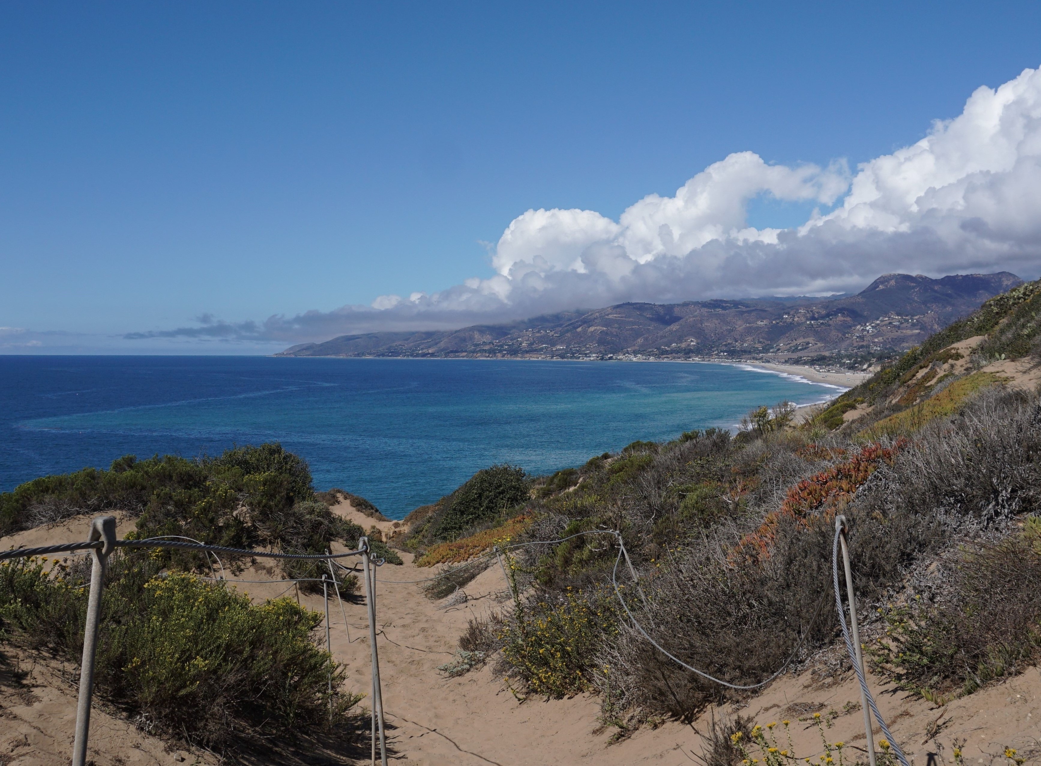 Point Dume State Park has many winding trails to follow along on as each one provides a view of the ocean. Hidden below over the cliffs you may be able to get a glimpse of sea lions sunbathing.