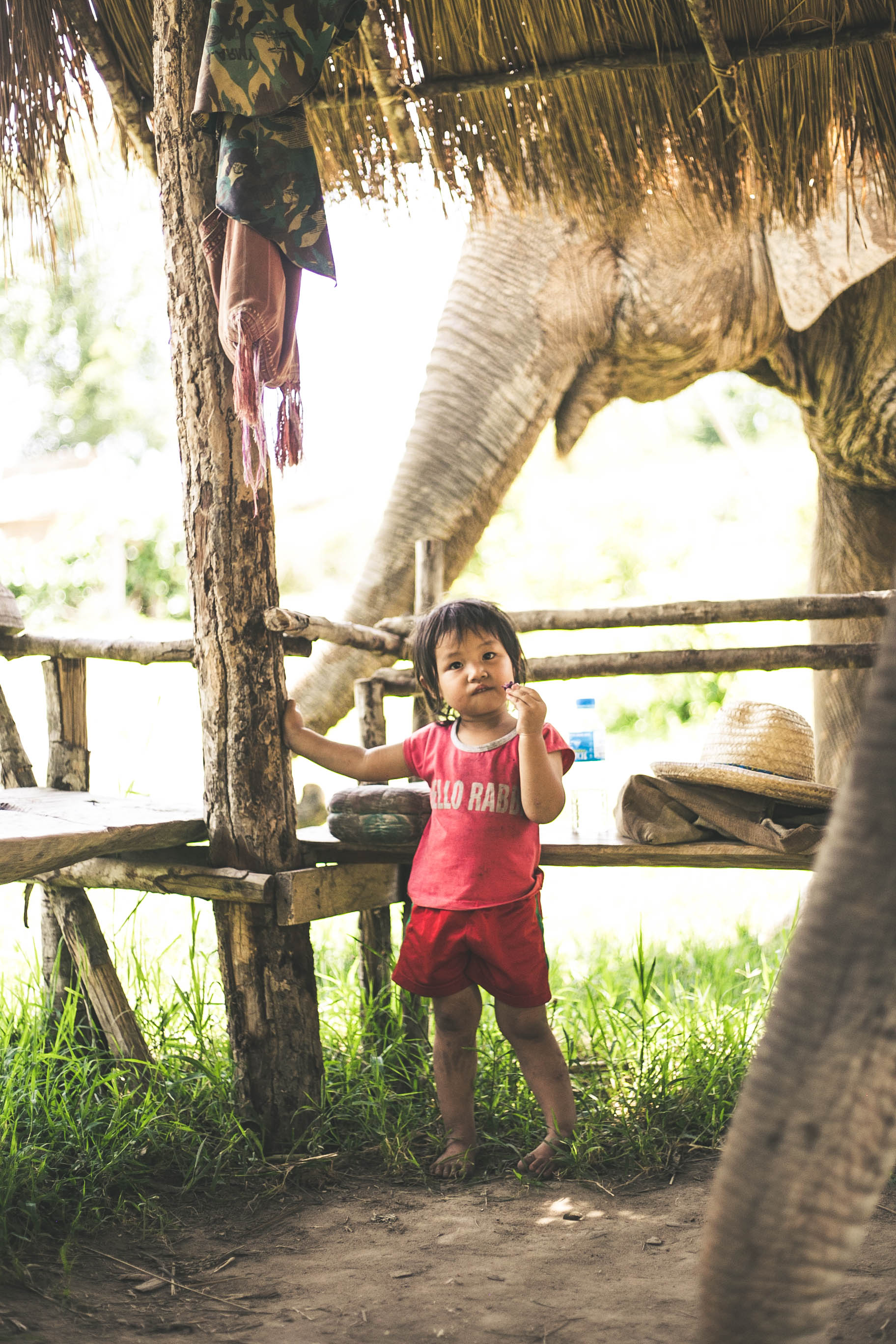 stage of growing in the Karen Tribe. While the young girl grows, theres no fear, these Elephants are her family.