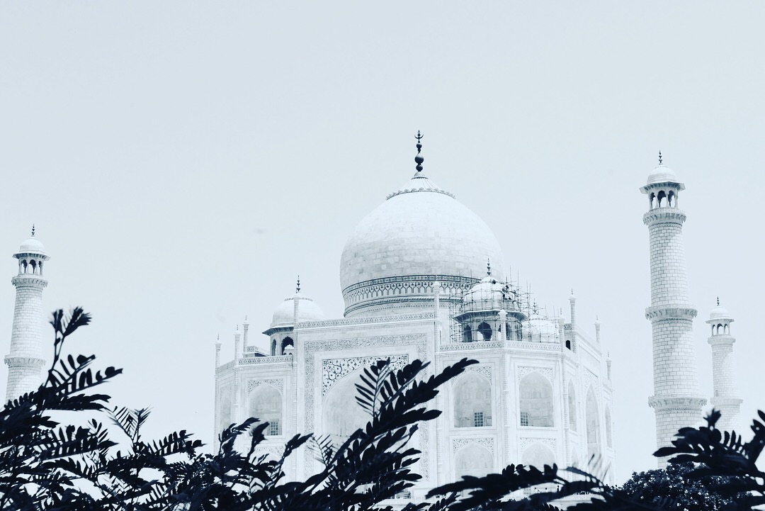 There you are beautiful... Taj.