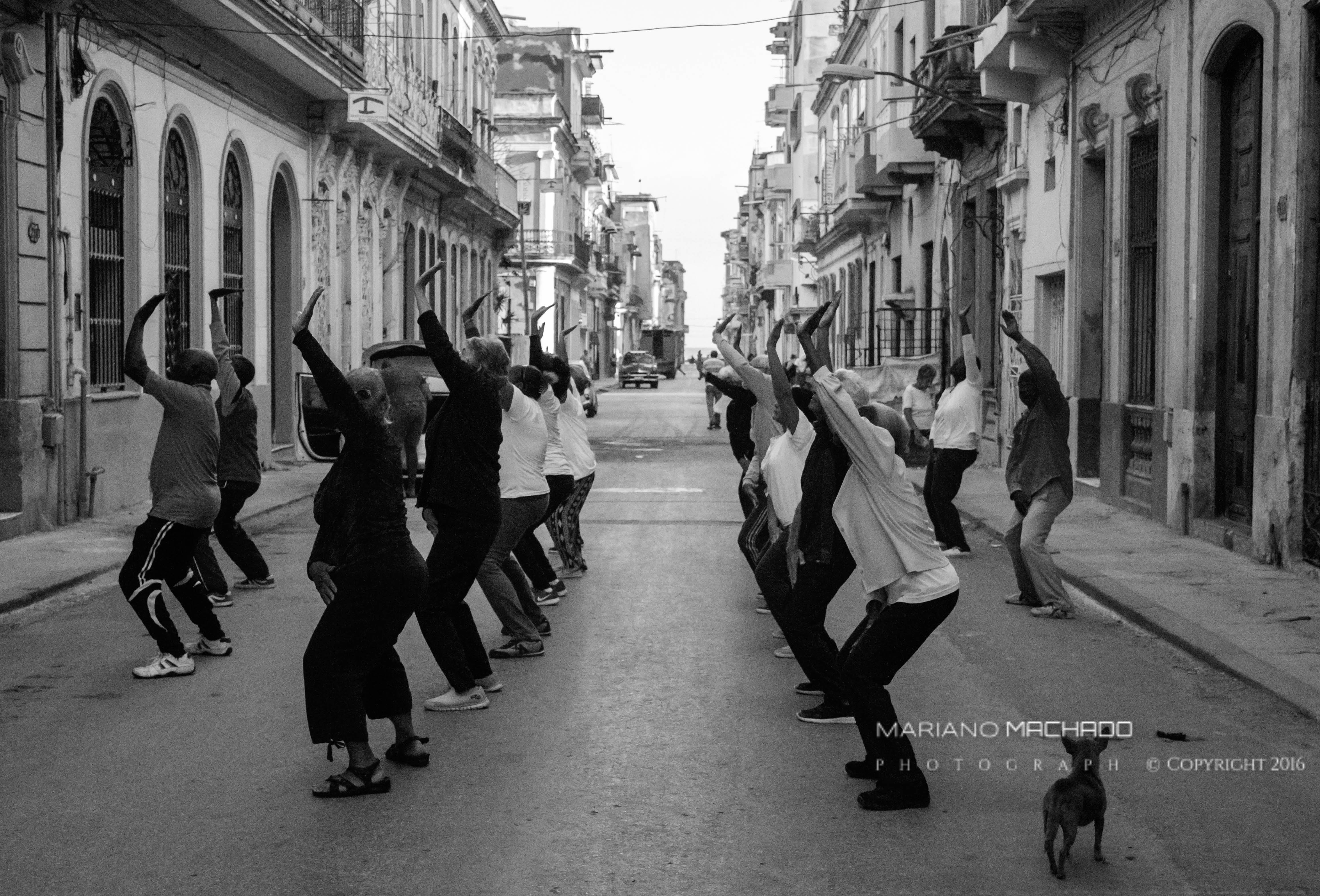 The rhythm of the streets is Tai Chi, where the locals show themselves to be excellent practitioners of art. The movements are slow and careful. The eyes follow each coming and going of hands and arms.