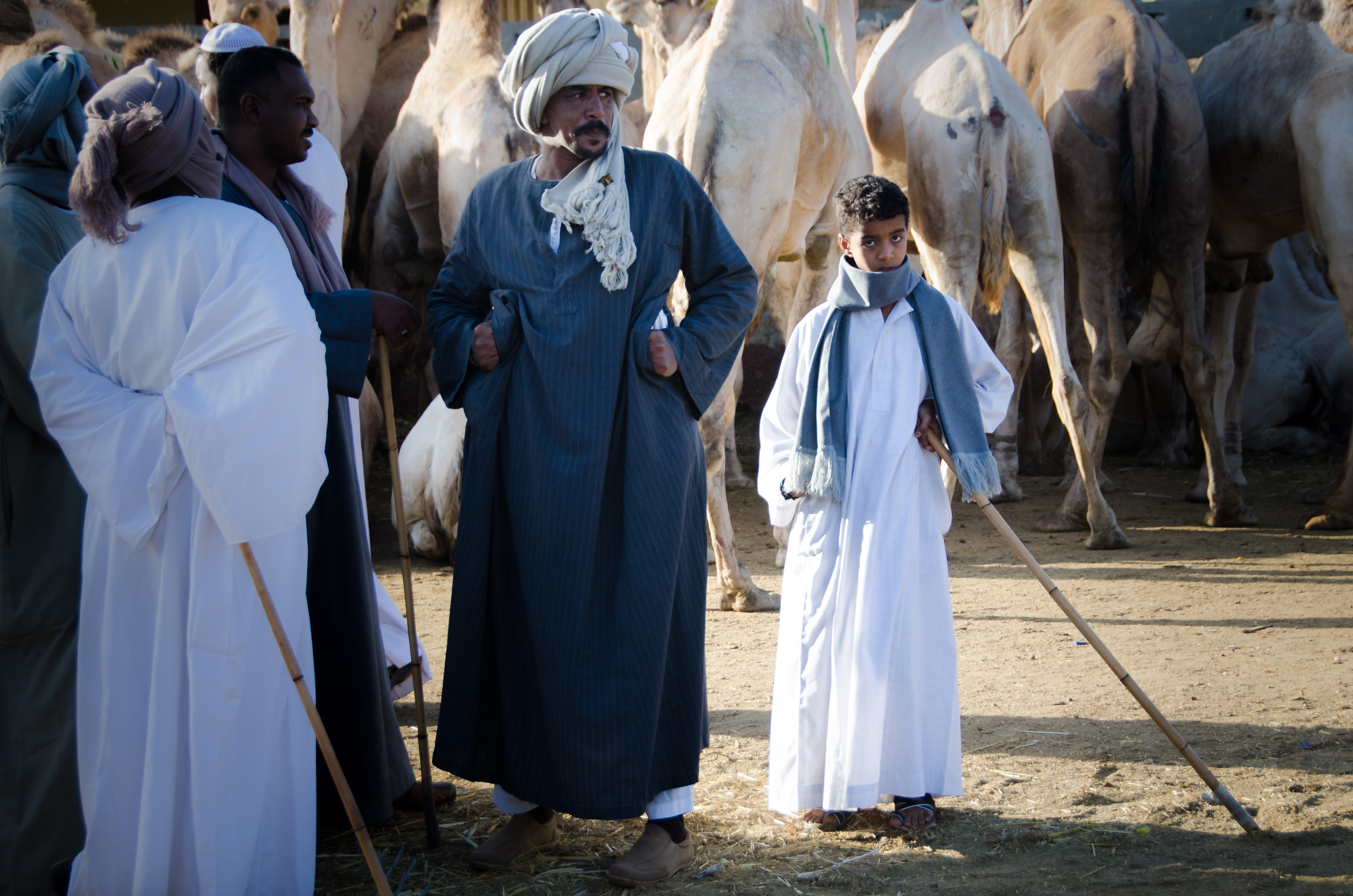 The boys learn from their fathers, uncles and brothers from an early age. While learning the traditional camel trade in a chaotic, gritty, environment , they also form a sense of identity: what it means to be a man.