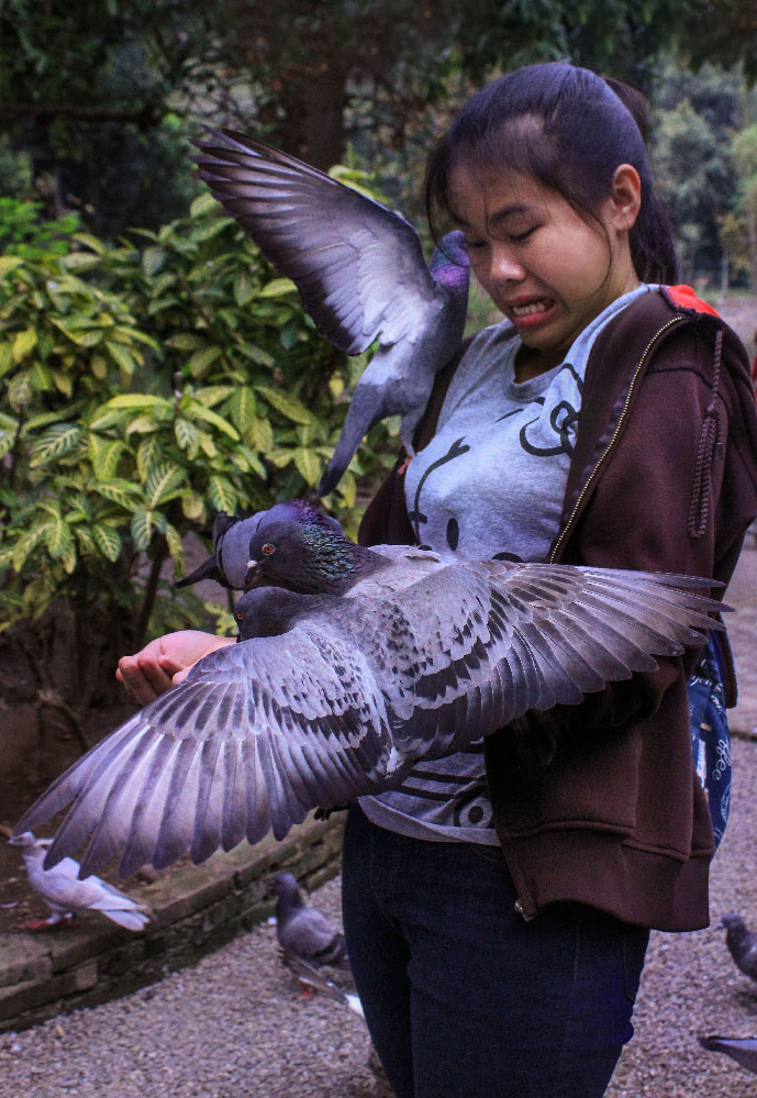 I conversed with this girl in the garden of a temple in Chiang Mai. The space was filled with hundreds of pigeons that gathered round us in an otherworldly manner. Neither of us were prepared for such a small amount of seed to create such an energetic moment.