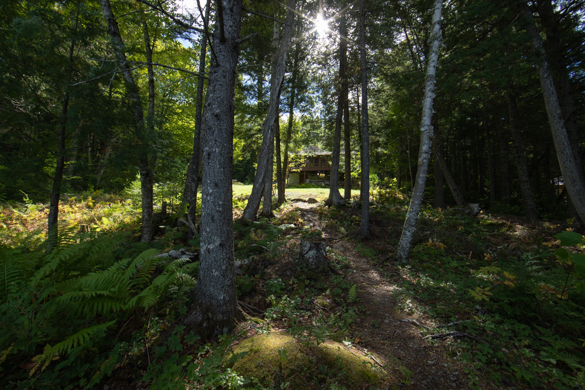 The path looking up from the lake of the cabin I have visited for 20 years. 