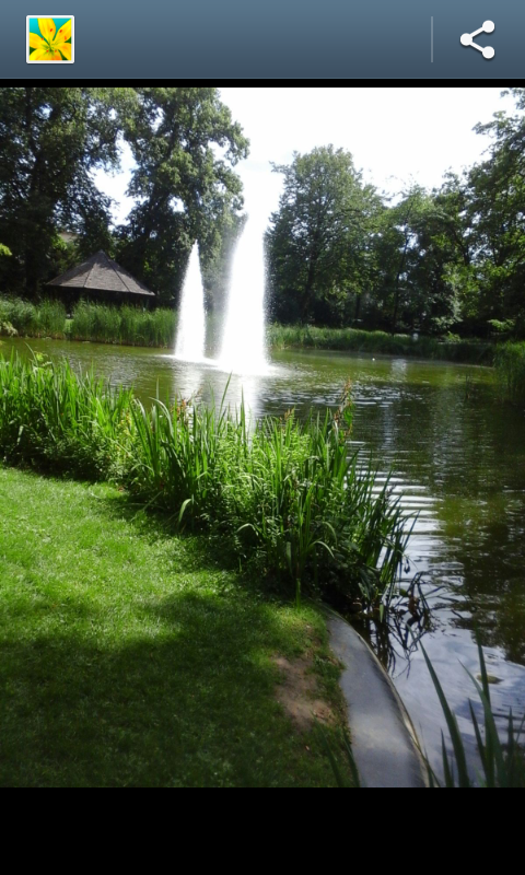 Parque Luxemburgo