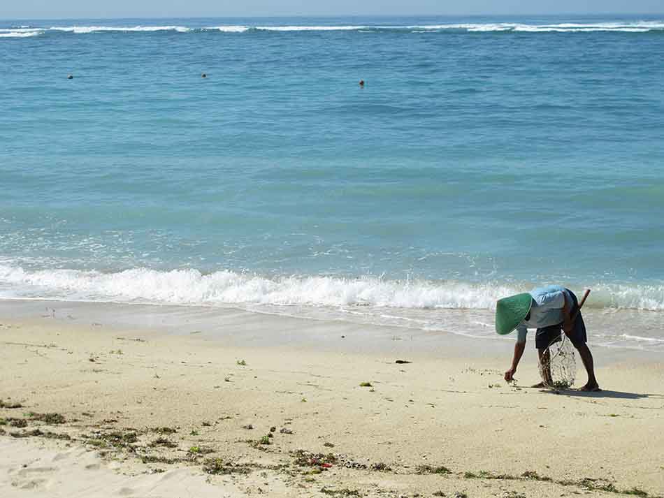 Local peoples who pick the seaweed up that throw to the beach by the wave   of Pandawa Beach in Kutuh Village, Bali