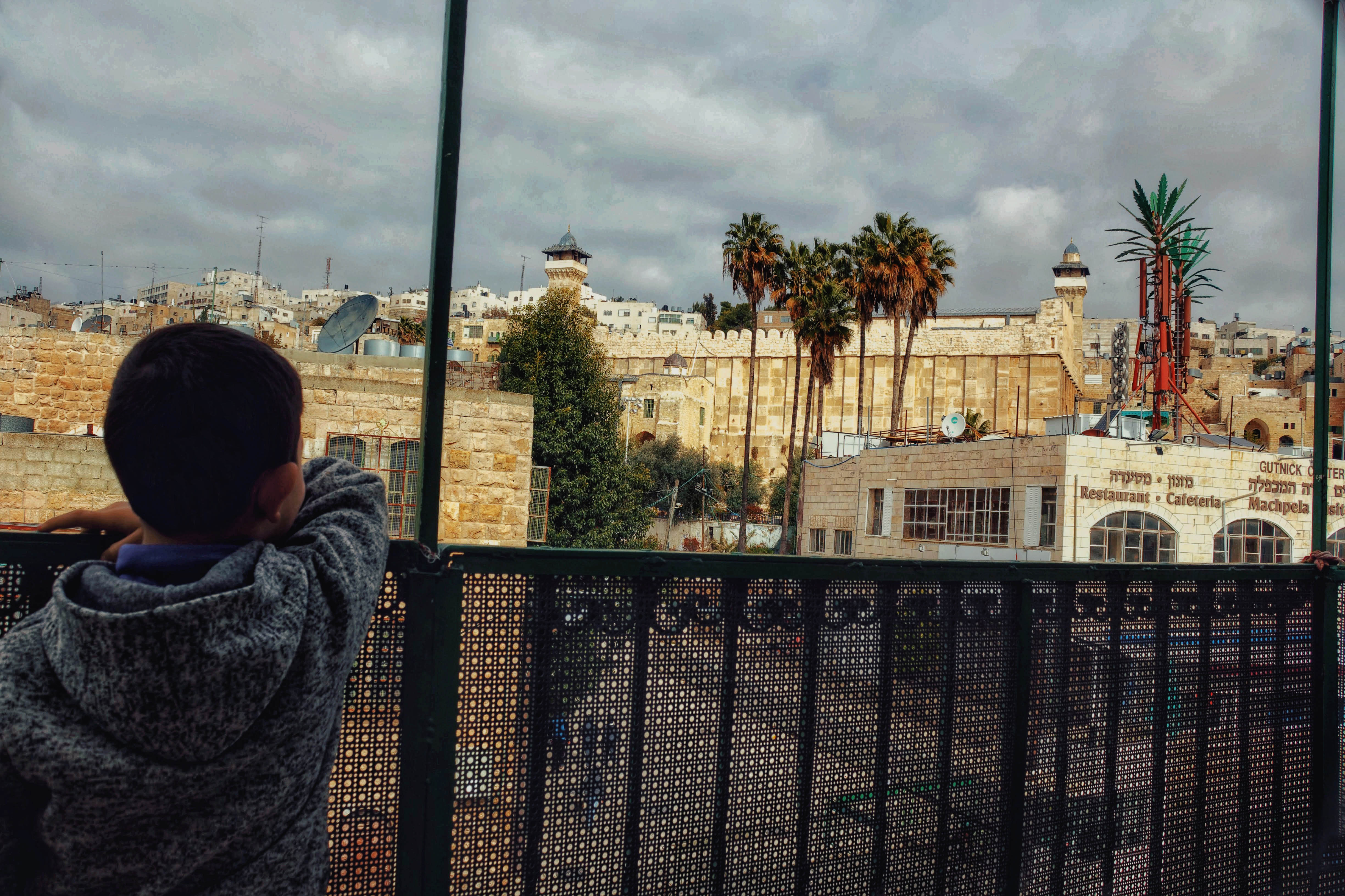 The child looks at the holy place where the tombs of the prophets are located, and contemplates the religious stories and historic stories of his ancestors in the city .