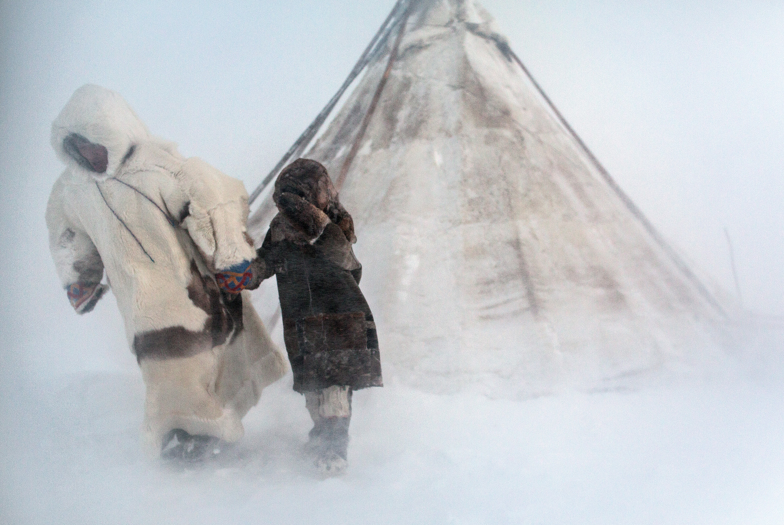 One of the toughest place on Earth, in the Yamal Peninsula lives the Nenets, the Siberian reindeer herders, under harsh winters at -50° and wind blowing at over 100km/h.