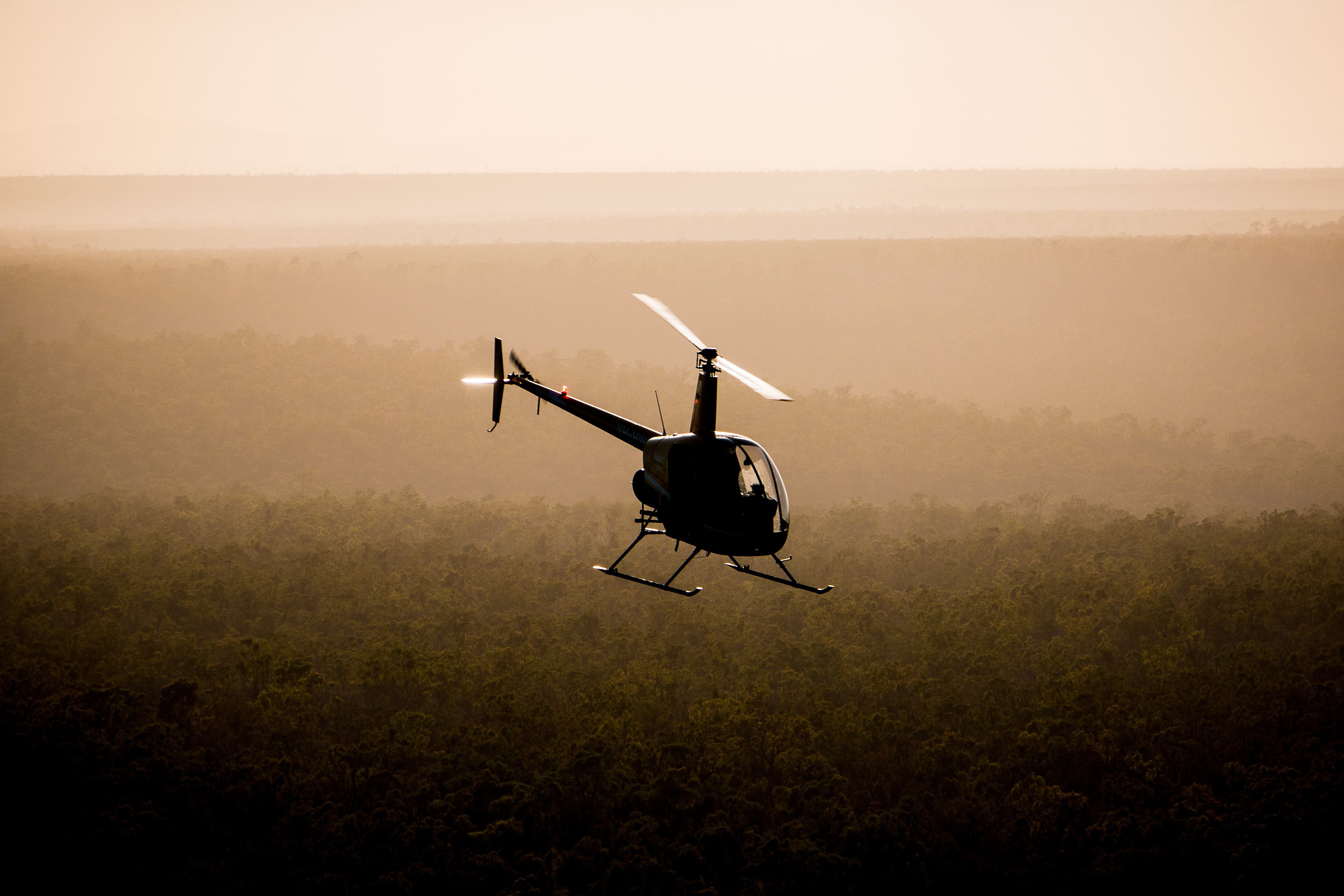 The Flying Stockman - Each morning he eagerly awaits for the first crack of sunlight giving him permission to takeoff. 
As he ferries his chopper through the crisp morning air he watches from above the bush slowly come alive.