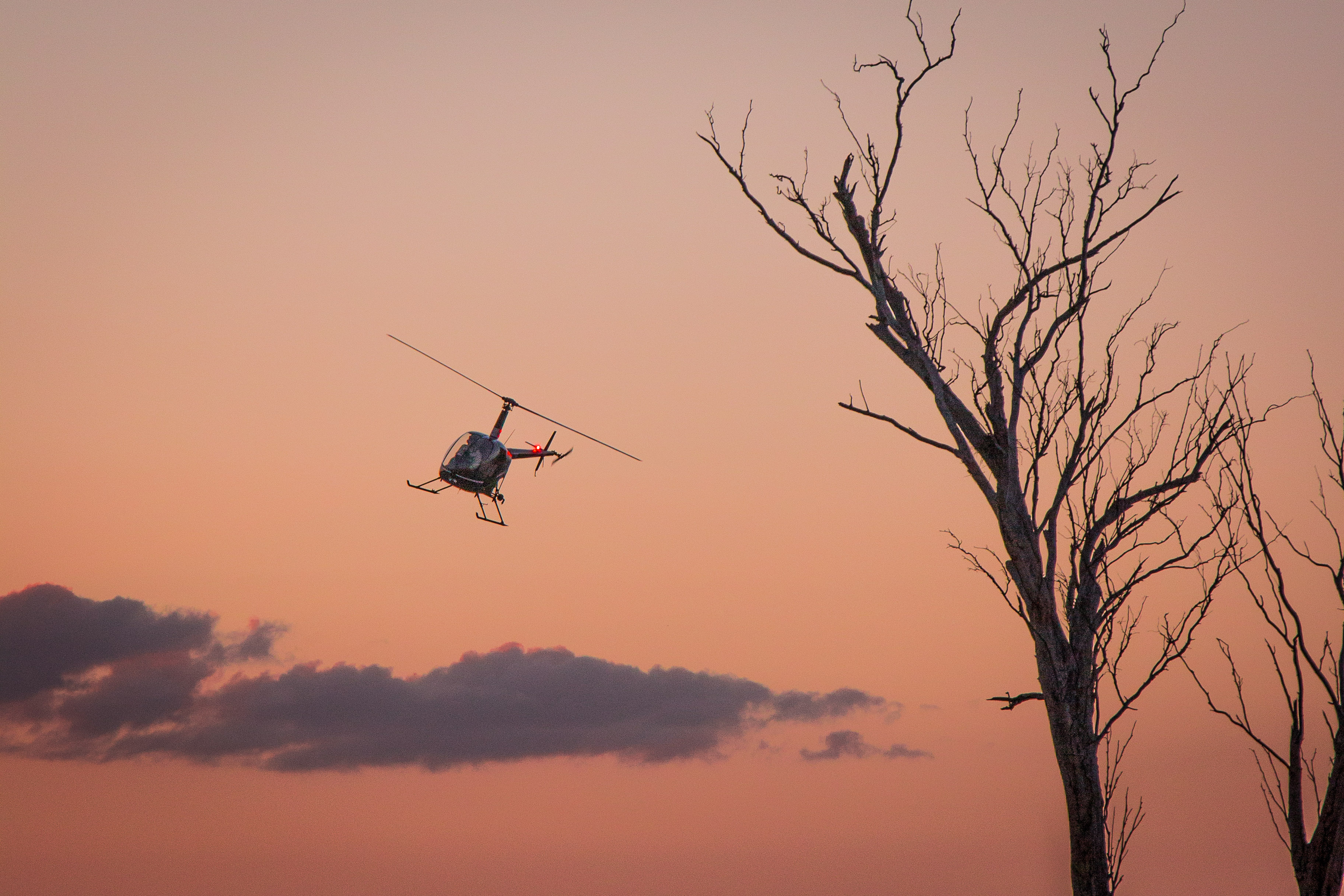 The Flying Stockman - Done and dusted, the slap of his blades echo across his paddock as he lands, to the excitement of his kids. With the sun setting and radio silent the chopper slowly winds down. He removes his helmet, lets out a big sigh, turns and says “It doesn’t get much better than that aye”