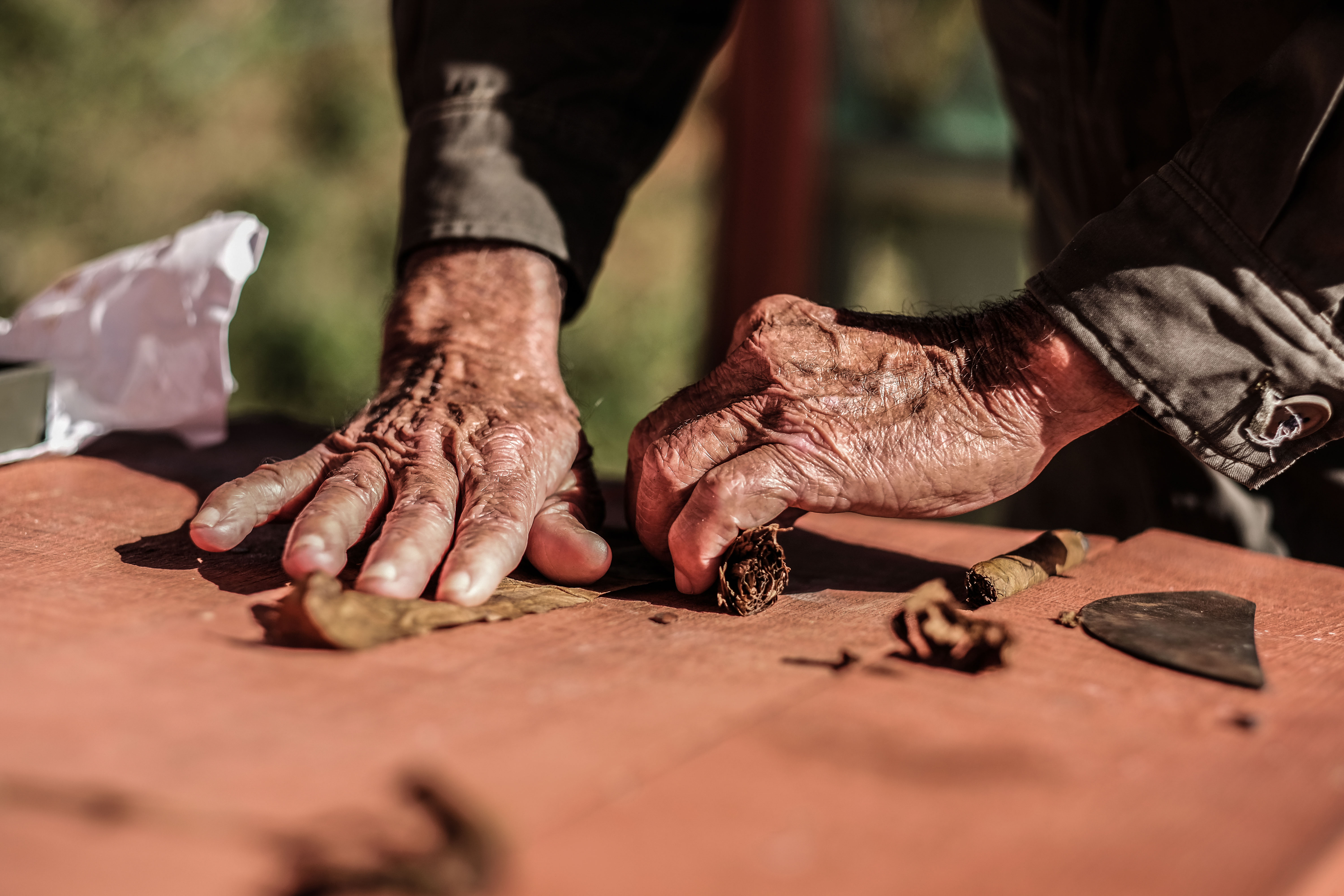 The Cuban government controls the tobacco industry and buys most of the harvest for a very low price. Only 10% is left to the farmers, who try to make a living by showing their torcedor skills and sell their handmade cigars to travelers.