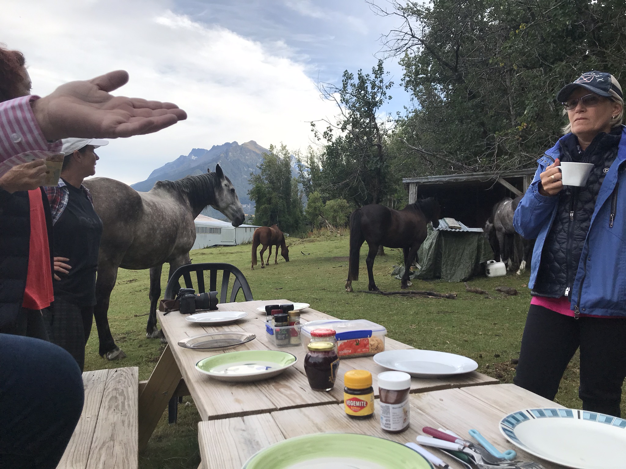 We ate outside and were frequently joined by curious horses. Everyone had a bit of vegimite on toast every morning. It wasn’t a favorite of mine never having eaten it before. It is filled with valuable B vitamins so I endured. 