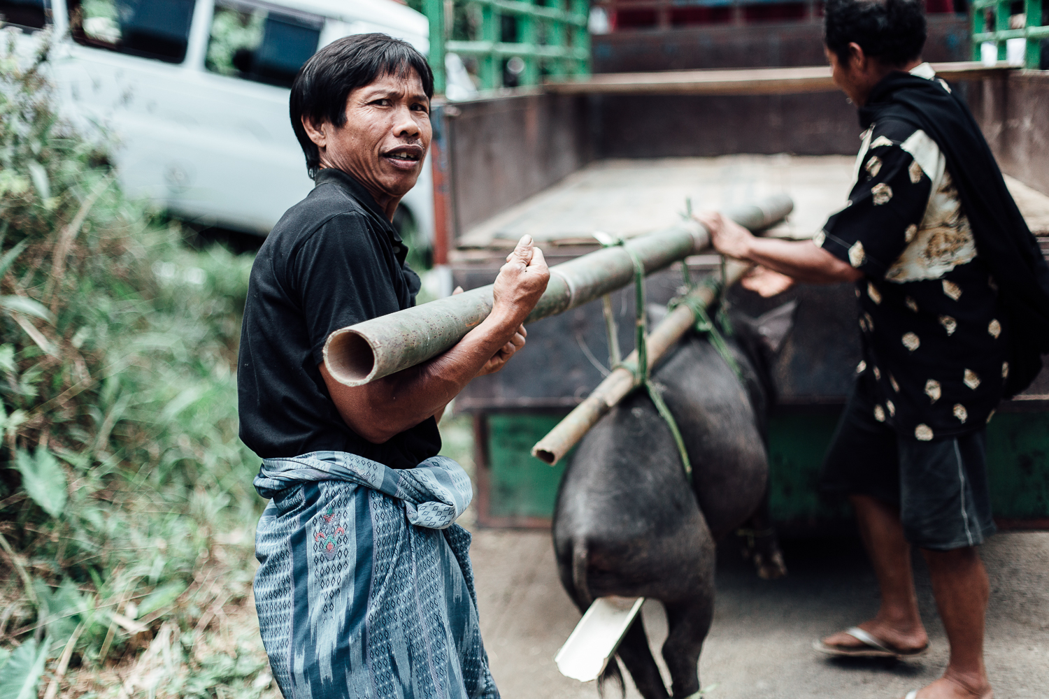 Two men use bamboo sticks to carry a pig about to be sacrificed. During the ceremony, dozens of pigs or buffalos (depending on the family's status) are sacrificed to help the dead travel to the sacred world beyond and bring fertility to the village.