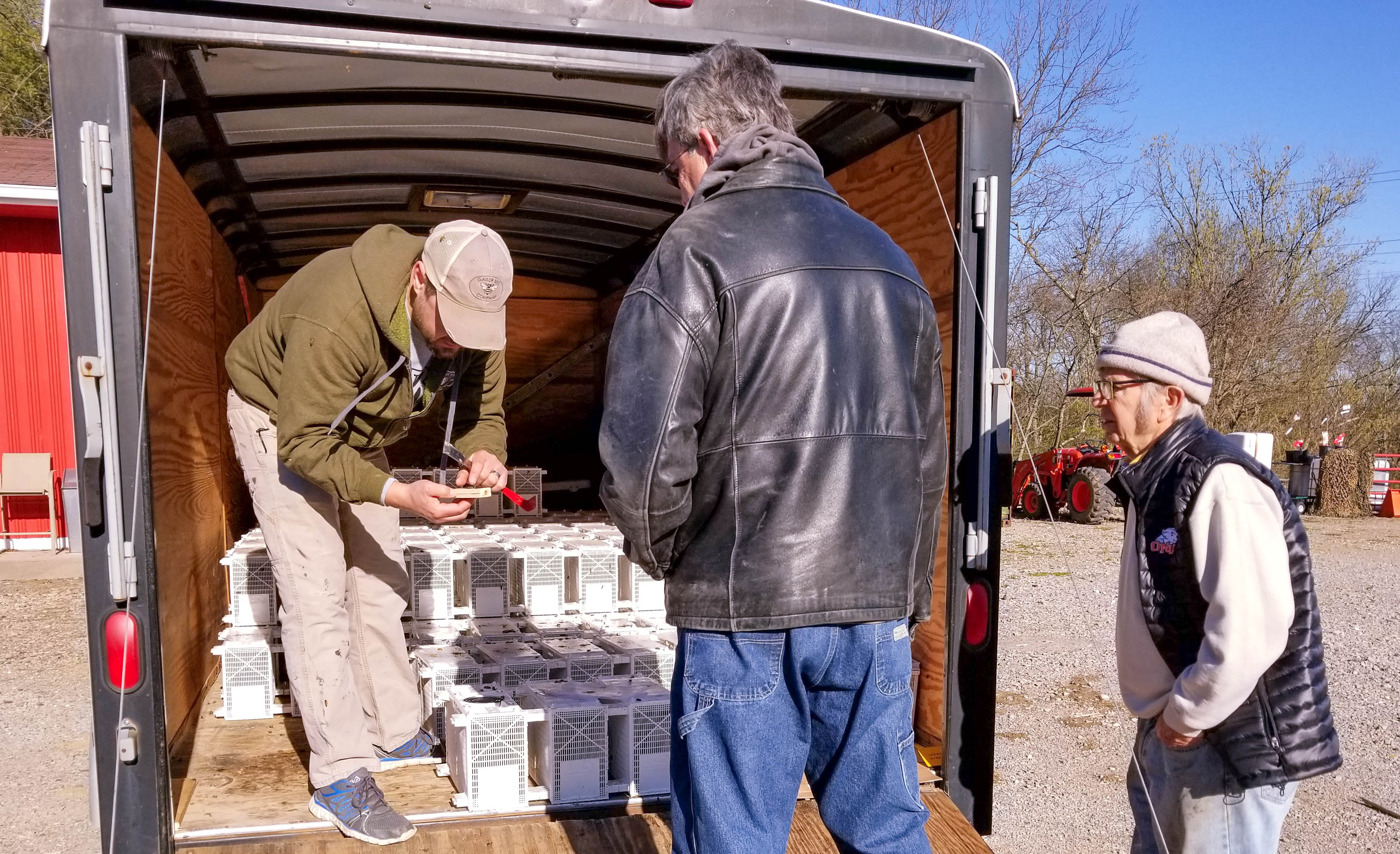 On a cold spring morning in early April, suburban beekeepers in Southwest Ohio arrive to retrieve a shipment of bees newly arrived from Georgia. Here, the supplier presents the captive queen to her new keeper. It is vital for the success of the hive that the queen is alive and well.