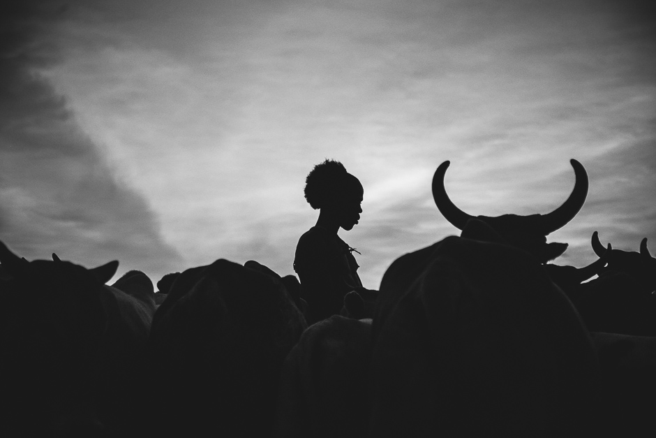 At dusk, the boy walks among the bulls staring silently into the distance preparing himself for the jump. He must nakedly leap over the lined up bulls four times, and if successful he enters adulthood, finally entitled to marry, own cattle and have children. 