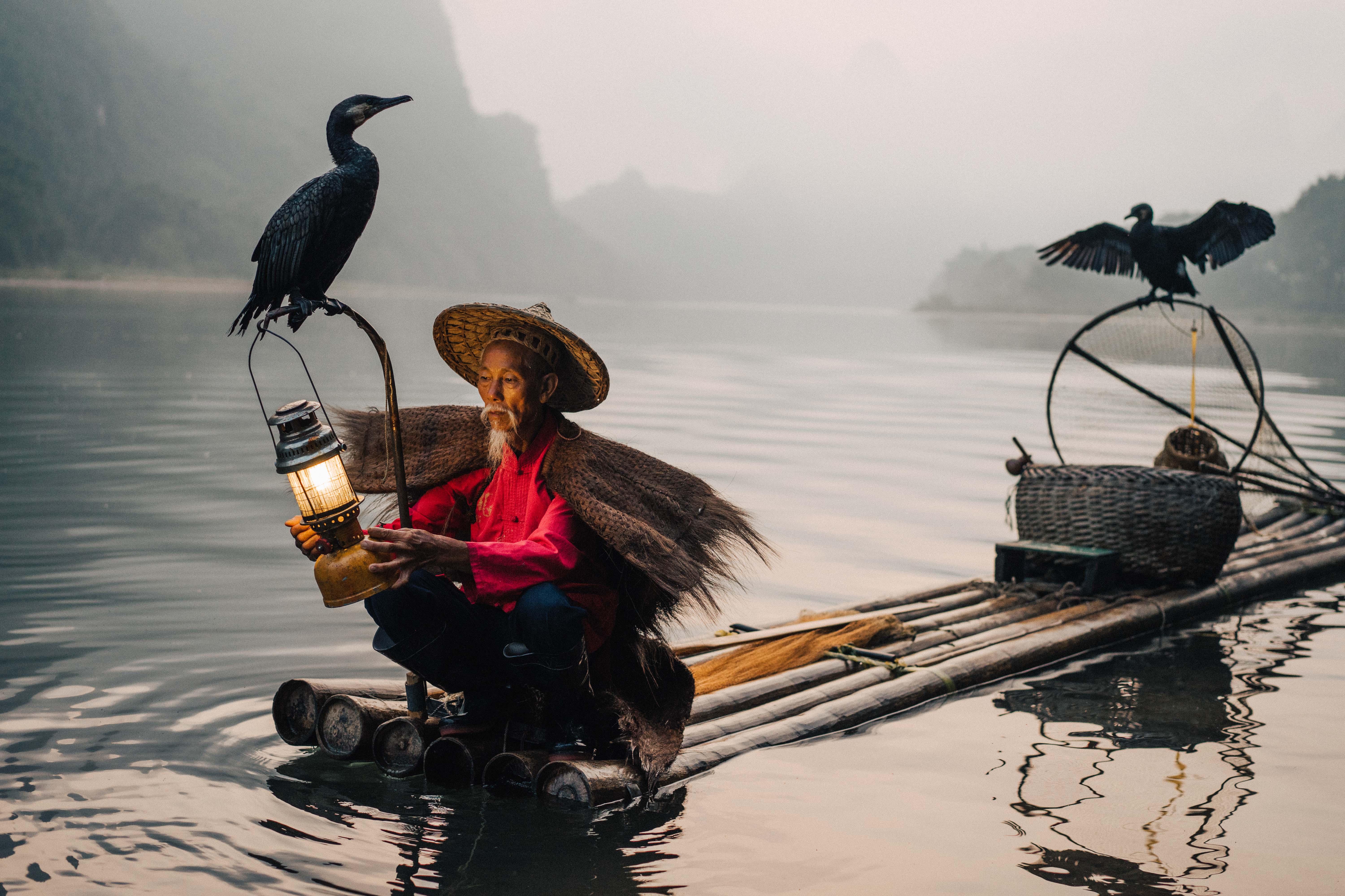 Gas lamps are hung on the boat to lure fish for the trained cormorants to catch them.  A fishing technique that has been passed down for 1,300 years in China. 
