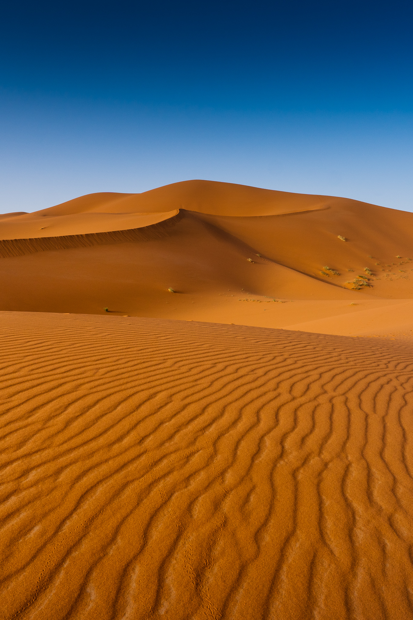 DAY 2
If you look at the Sahara at 2 pm, for miles around you only see sand. If you are lucky enough a camel or two cross your path. 