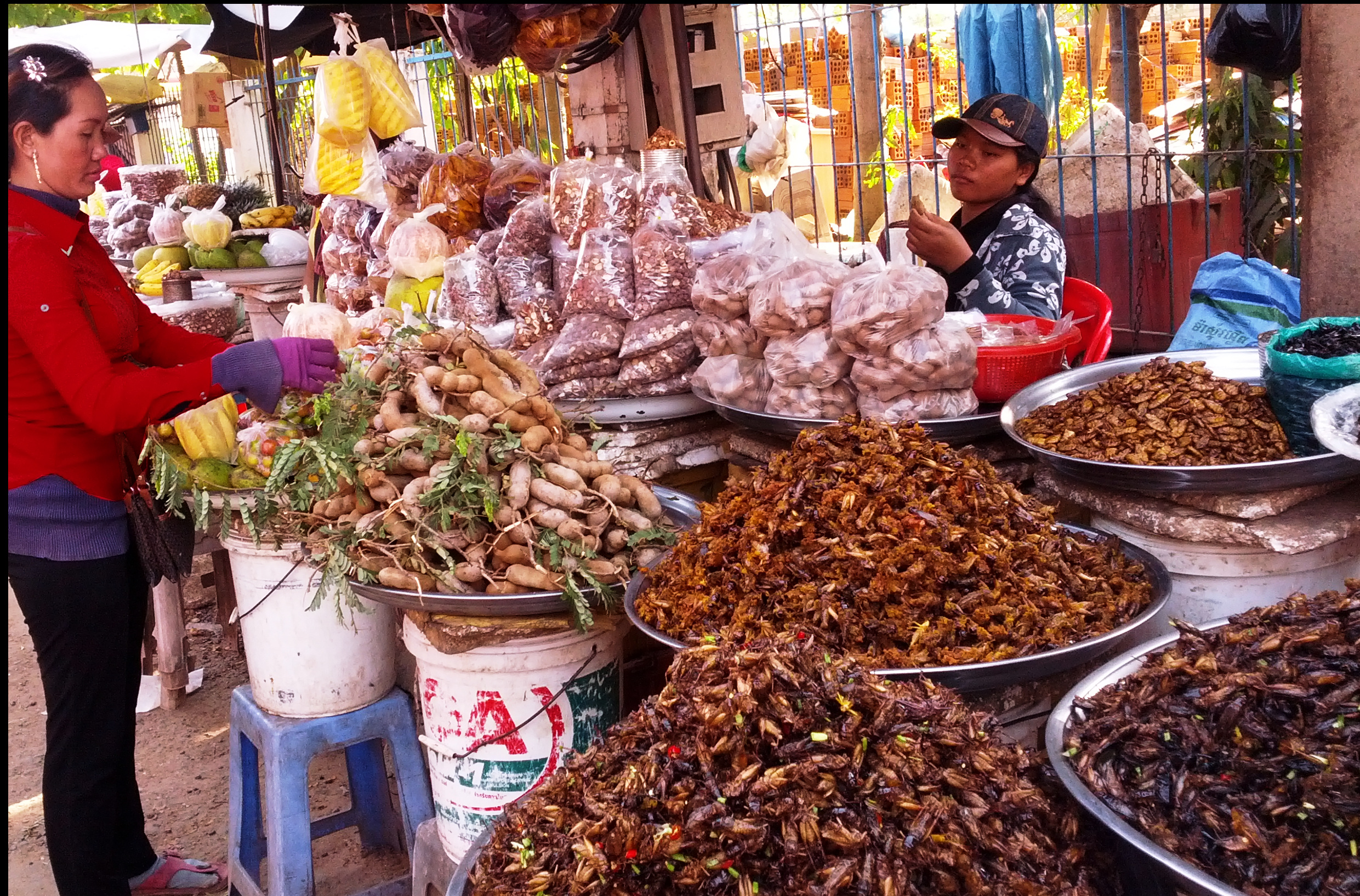 On the way further north into Vietnam local food markets are found everywhere. Often along with fruit and vegetables, one will find mole hills of crickets as a food sources because they are rich in protein.