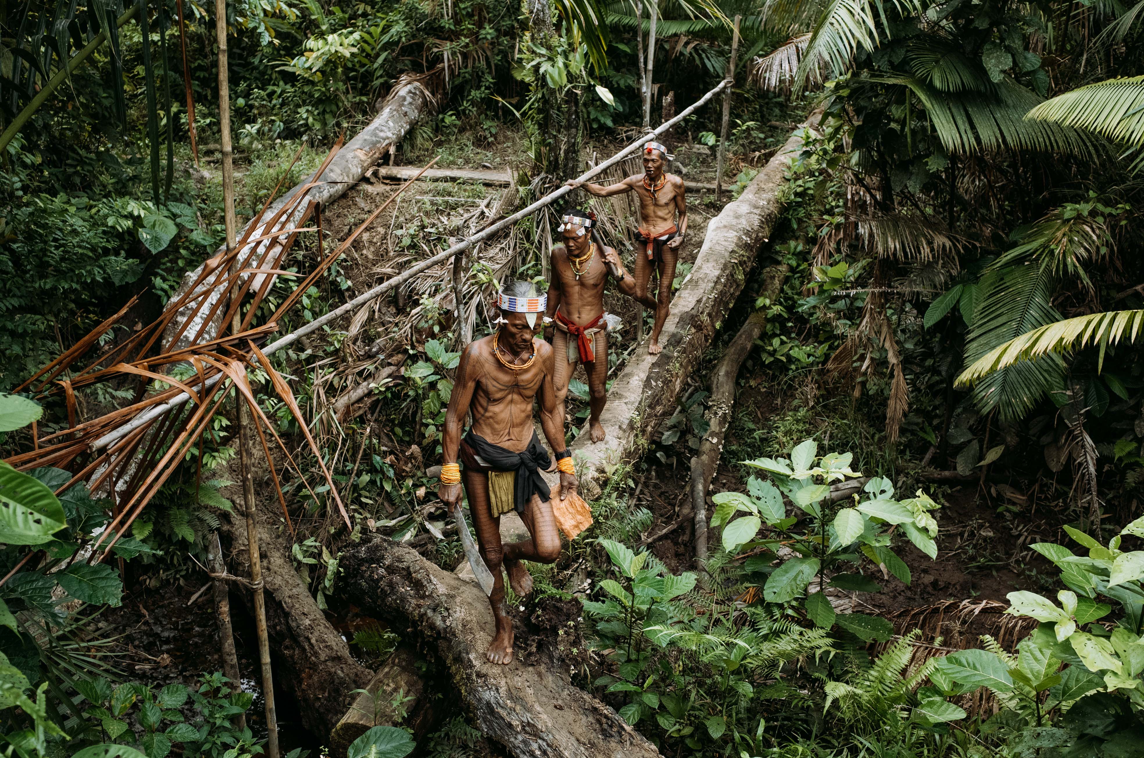 Mentawai tribe is a tribe who live in the forest of West Sumatra, Indonesia. They still live in tribe and there weren't  so many influence in their live. They live in the forest in the big house and lead by a man that called Aman (or maybe SHAMAN) in their language. 