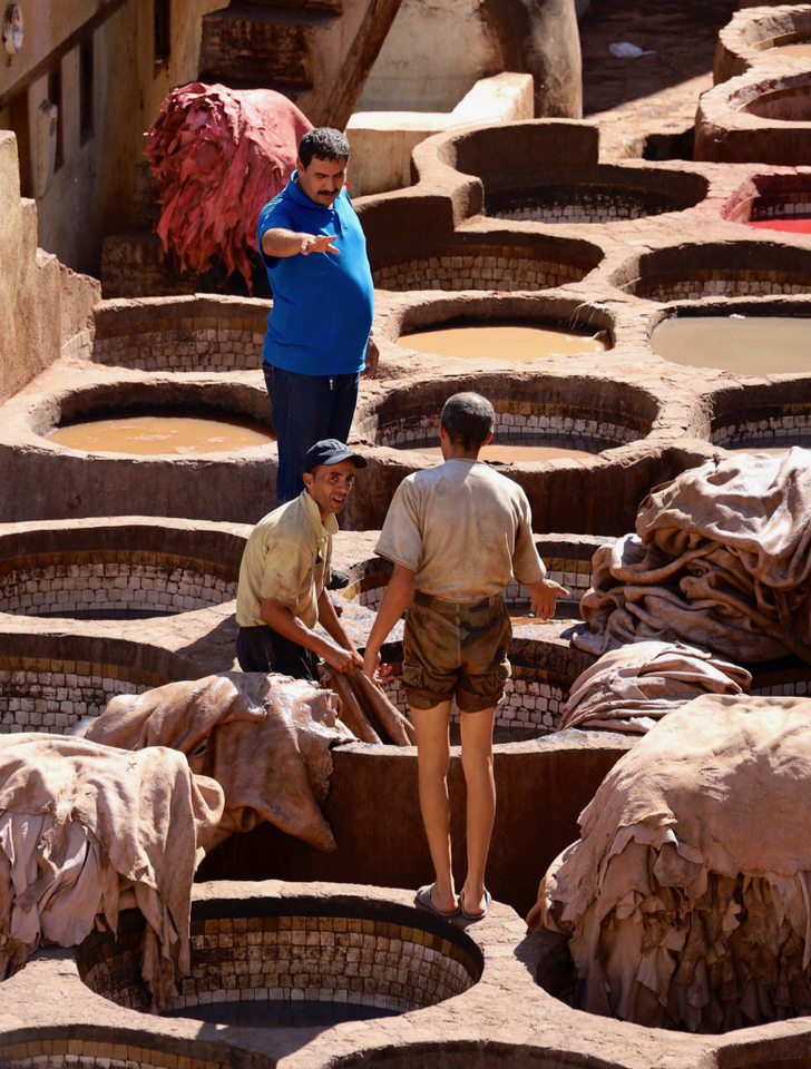 The manager of the Fes tannery, sporting a bright blue polo shirt, stands in stark contrast to the two tannery workers he instructs. Finished hides are piled high and await transport. 