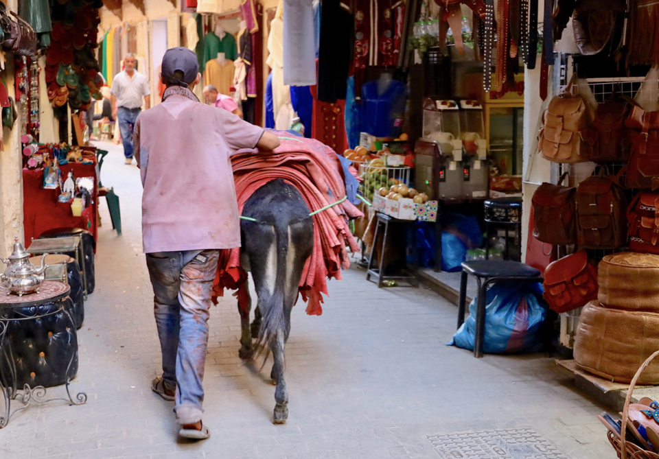 The finished tanned and dyed leather hides are bundled and transported out of the tannery by donkey, as motor vehicles are prohibited in the medina. A 21st century supply chain powered by 11th century methods.