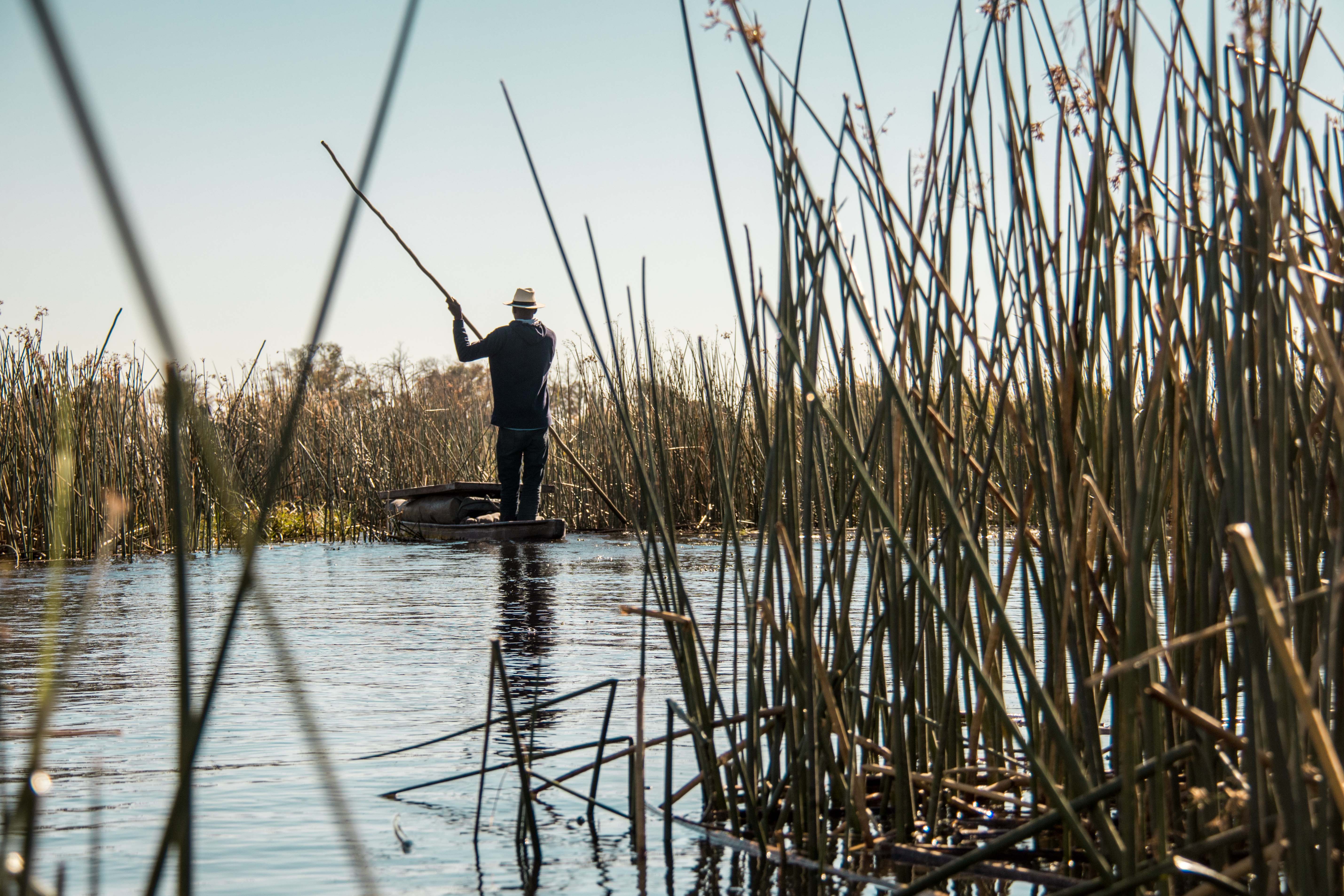 The Delicate Balance of the Okavango