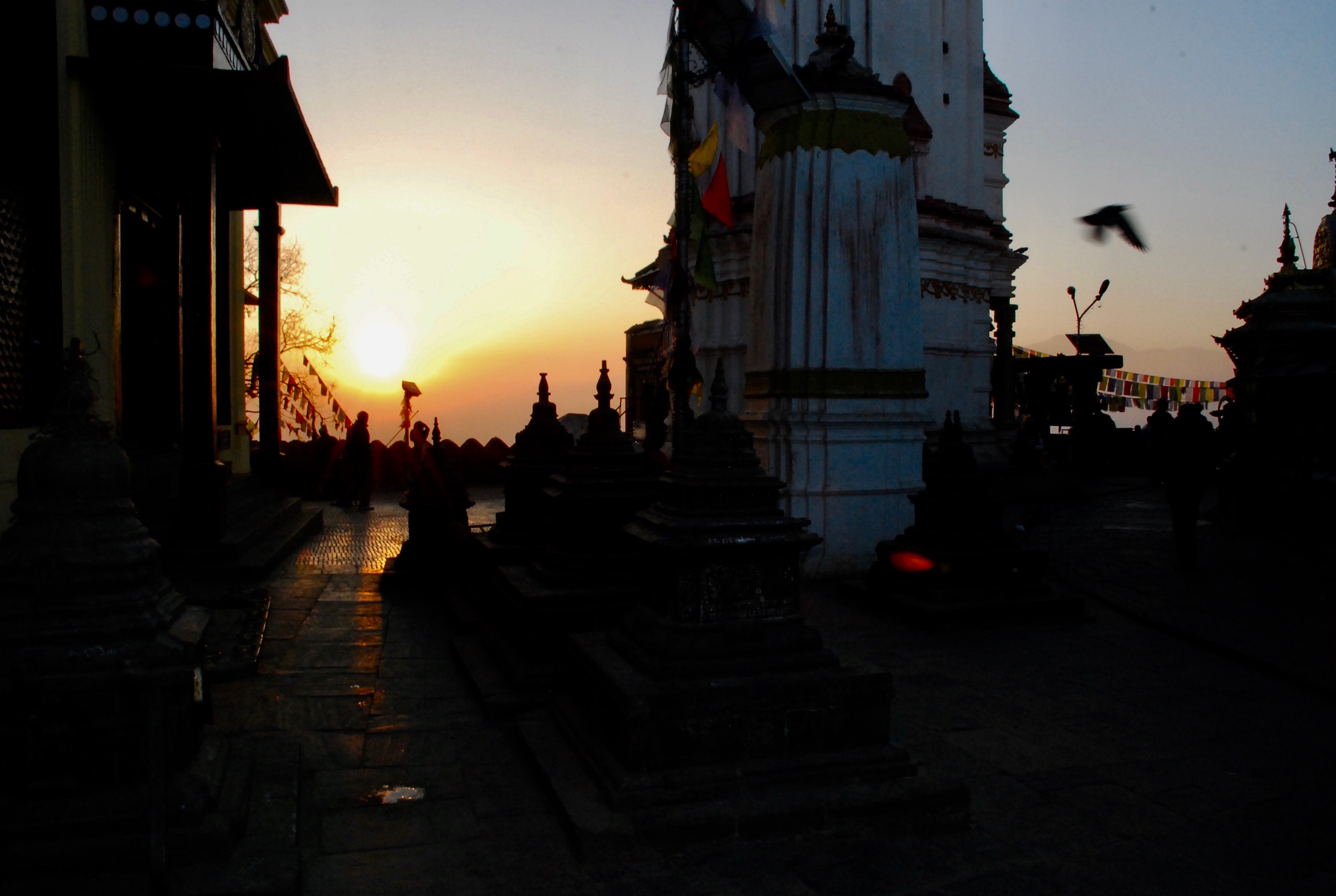 At sunrise, the temple is quiet and still. People move slowly amongst the ancient stupas and shrines in shadows and half-light. Although there are many who have come to pray and pay their respects, the air is filled with a sense of peace and respectful calm. 