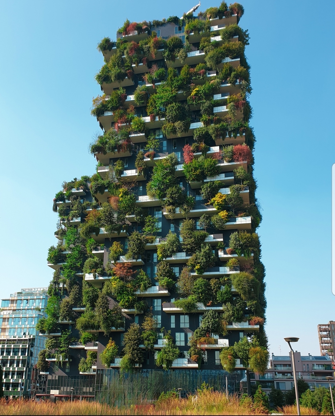 The vertical forest in Milan