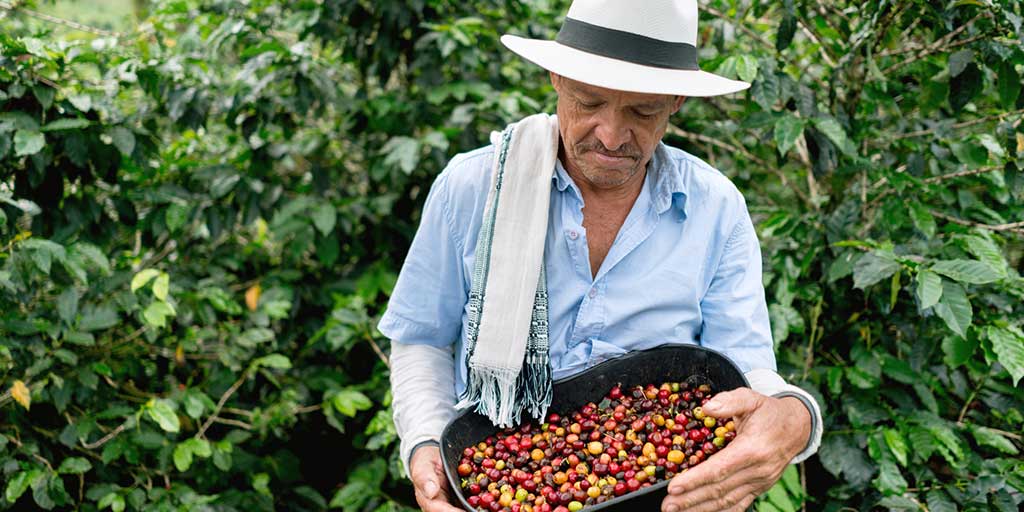 colombian coffee